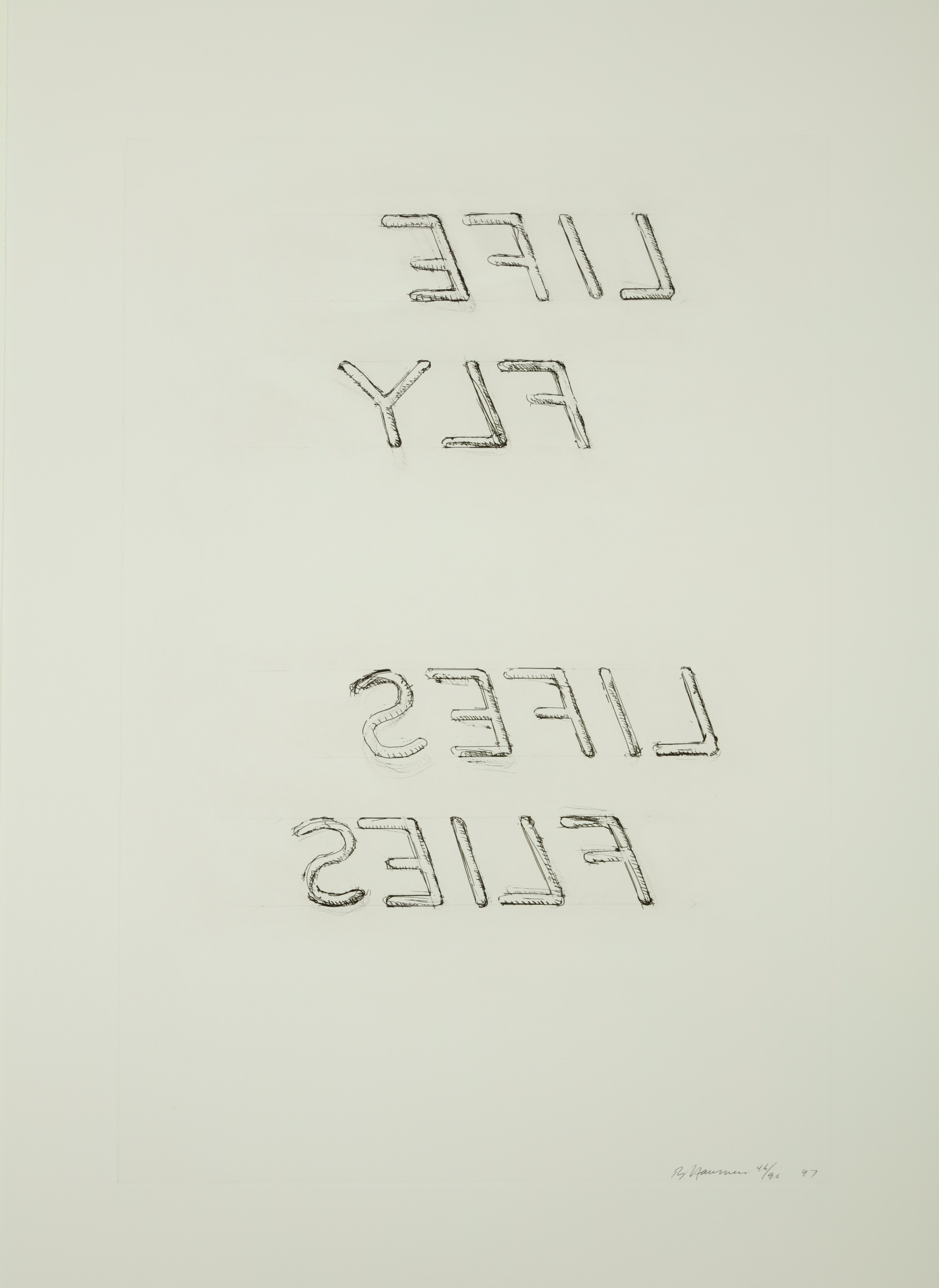 Life Fly Lifes Flies