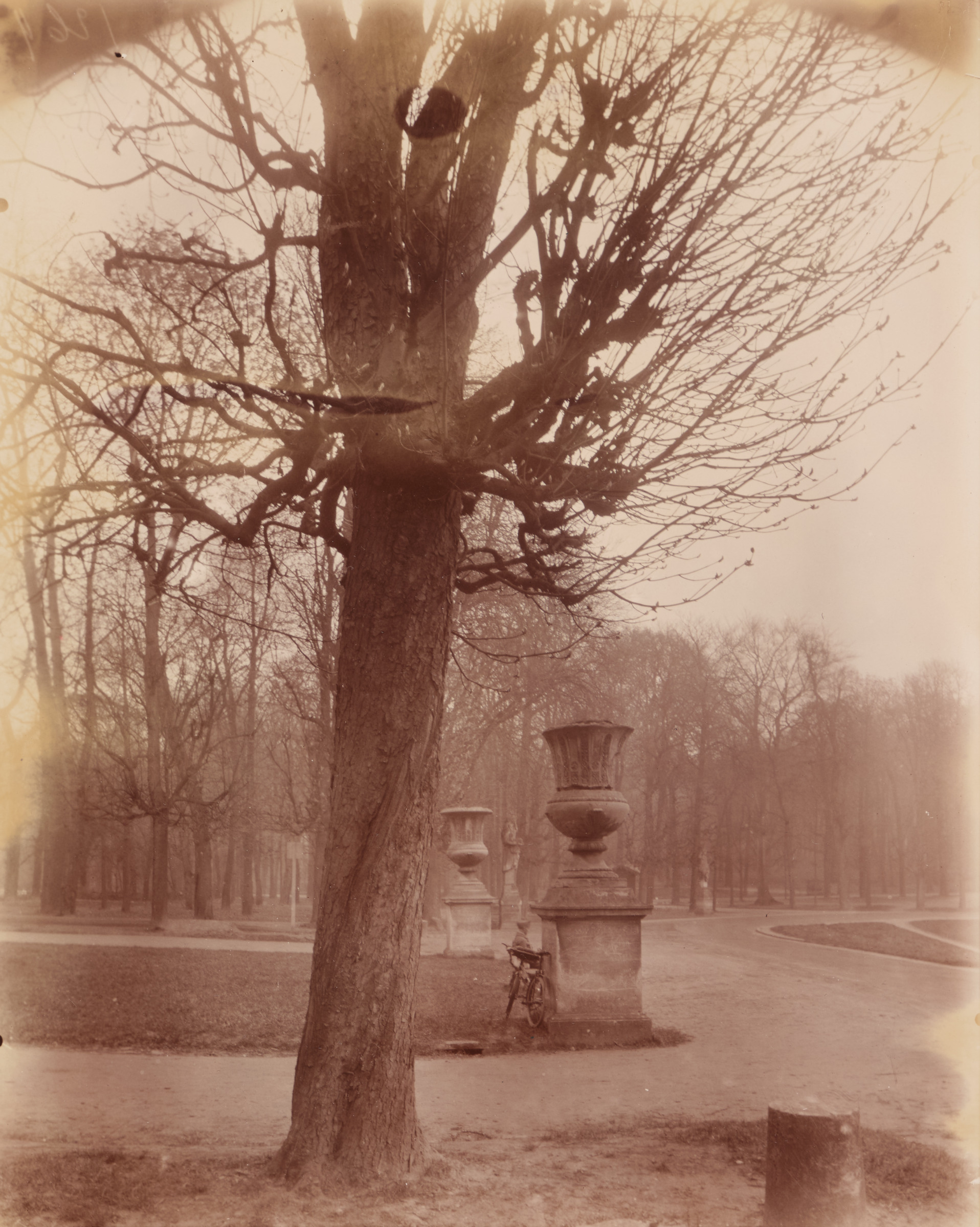 Saint Cloud