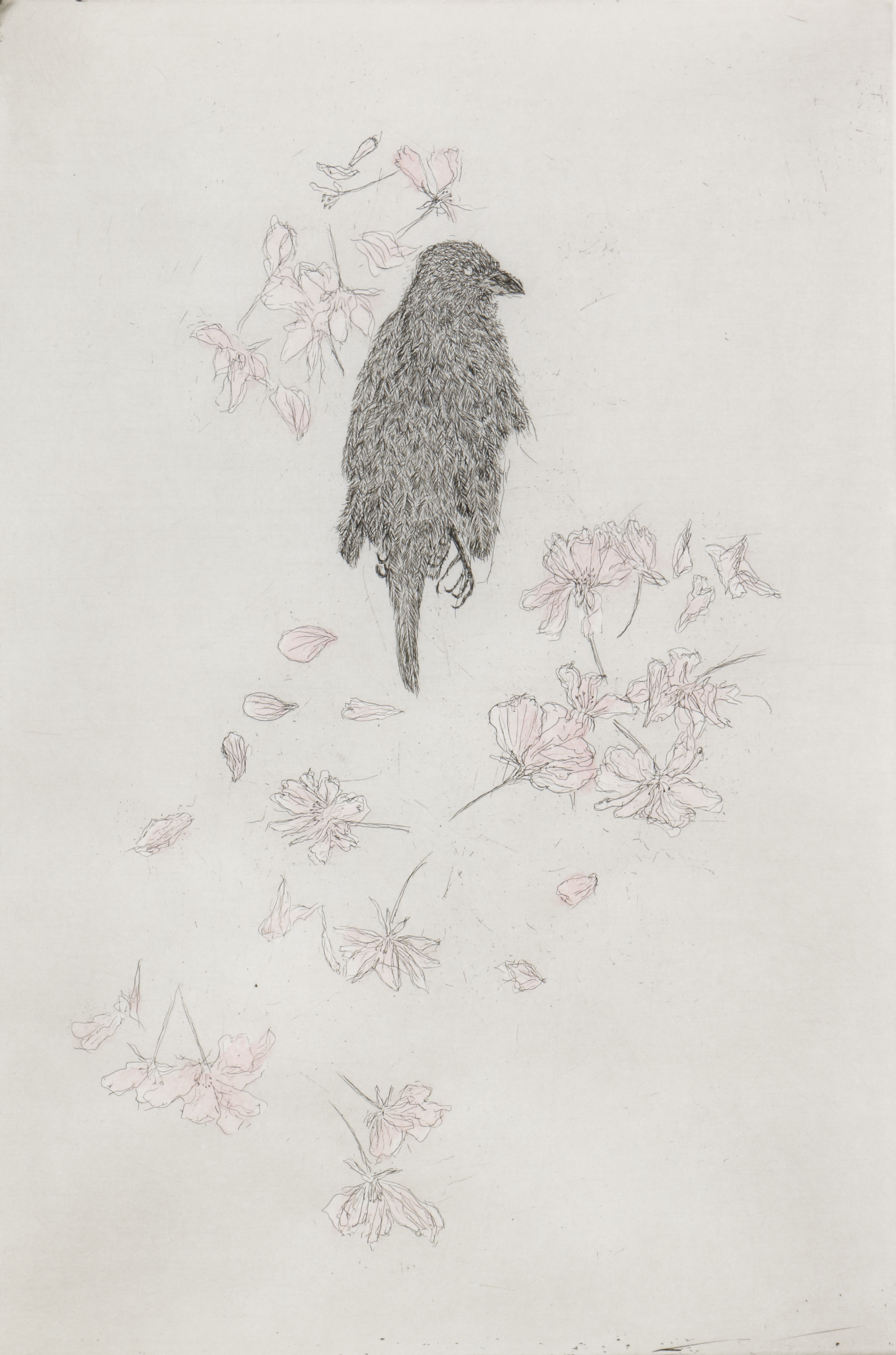 Bird with Blossoms