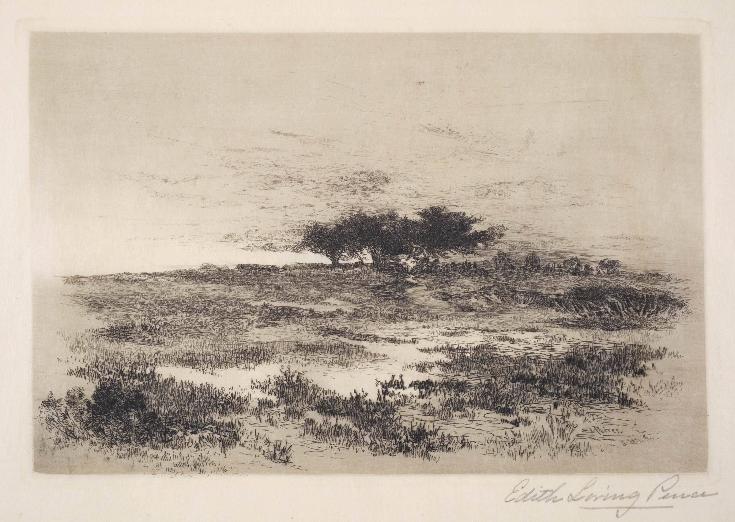 Solitude or Peck’s Beach