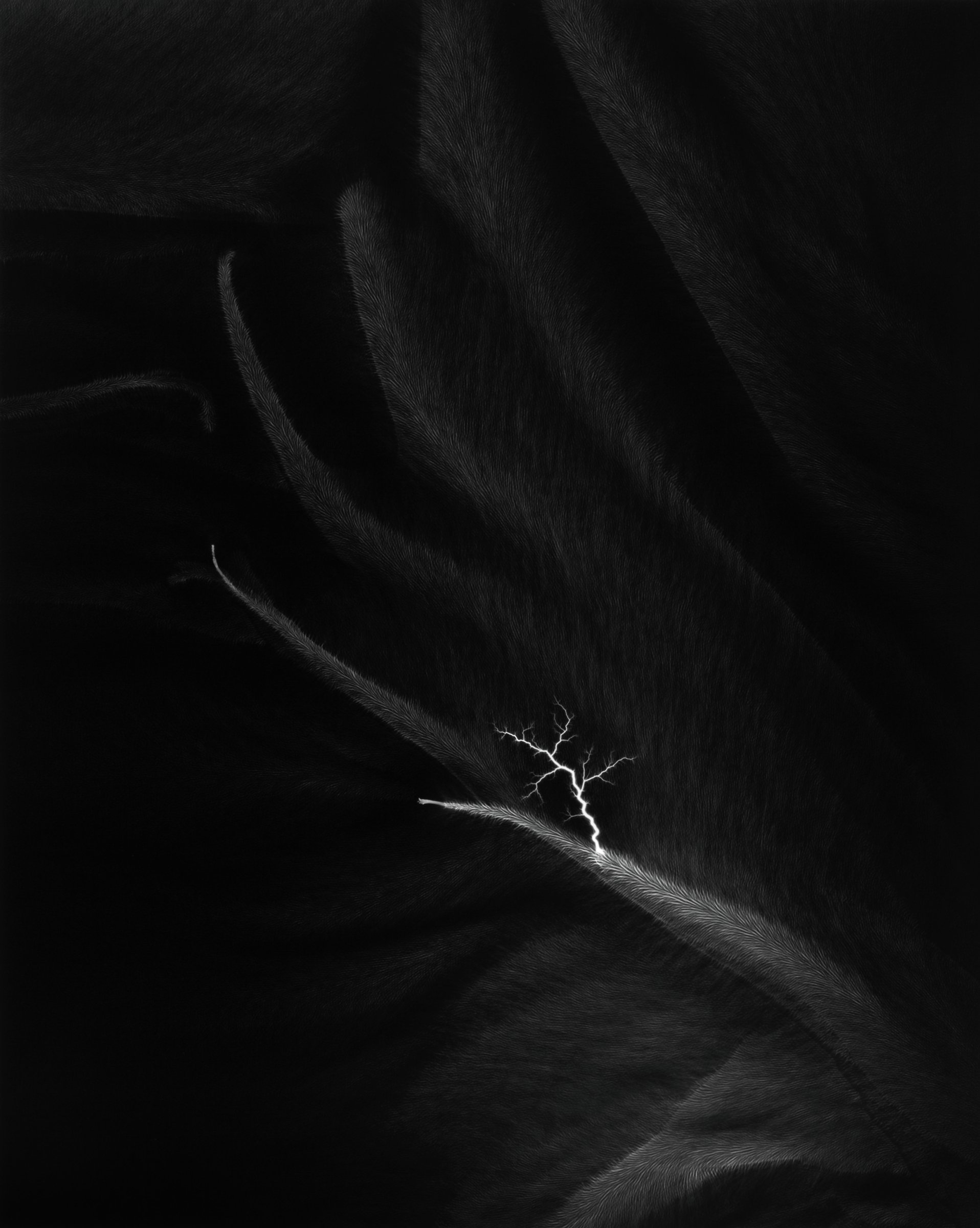 Lightning Fields 182