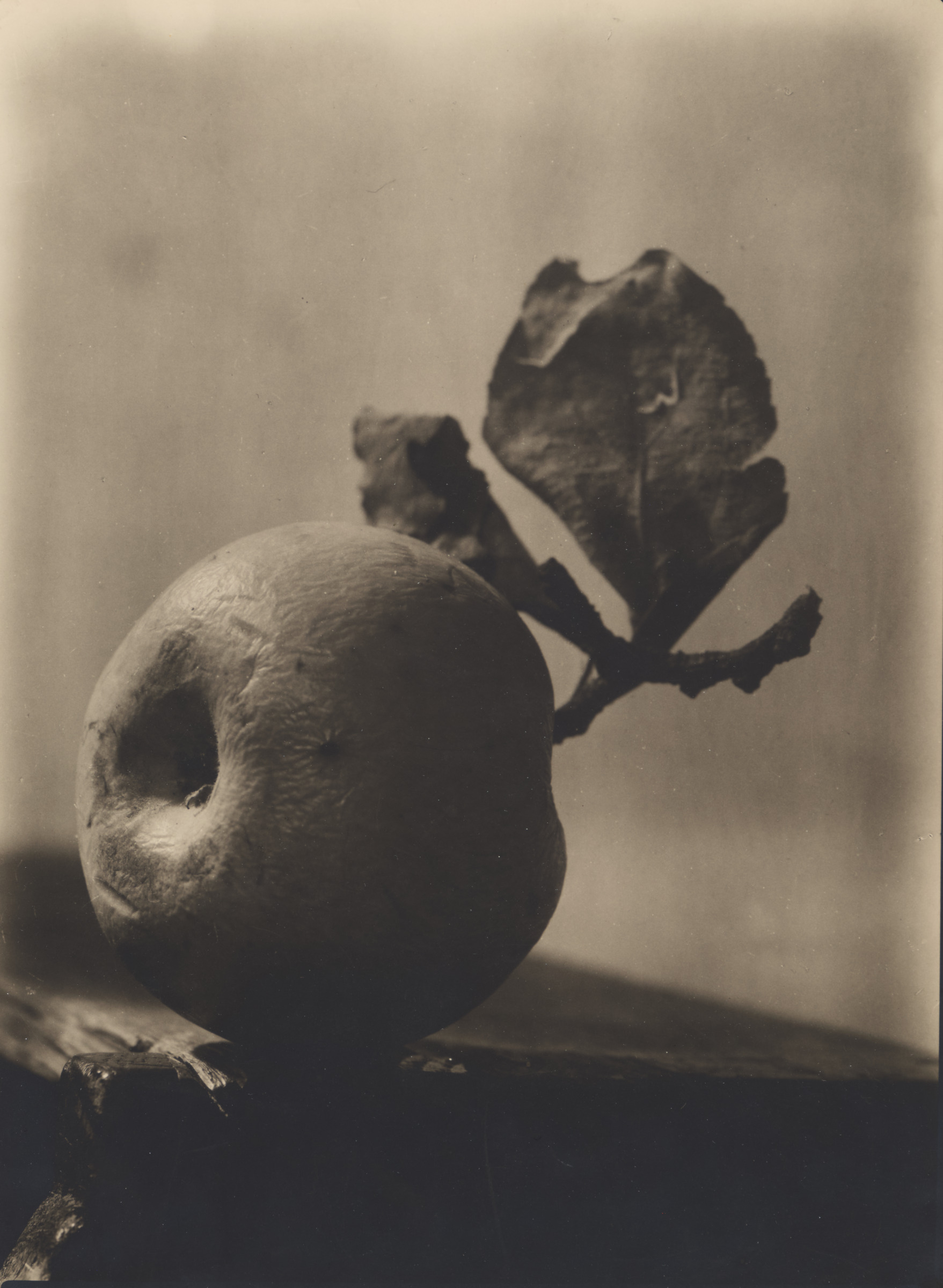 Apple Composition