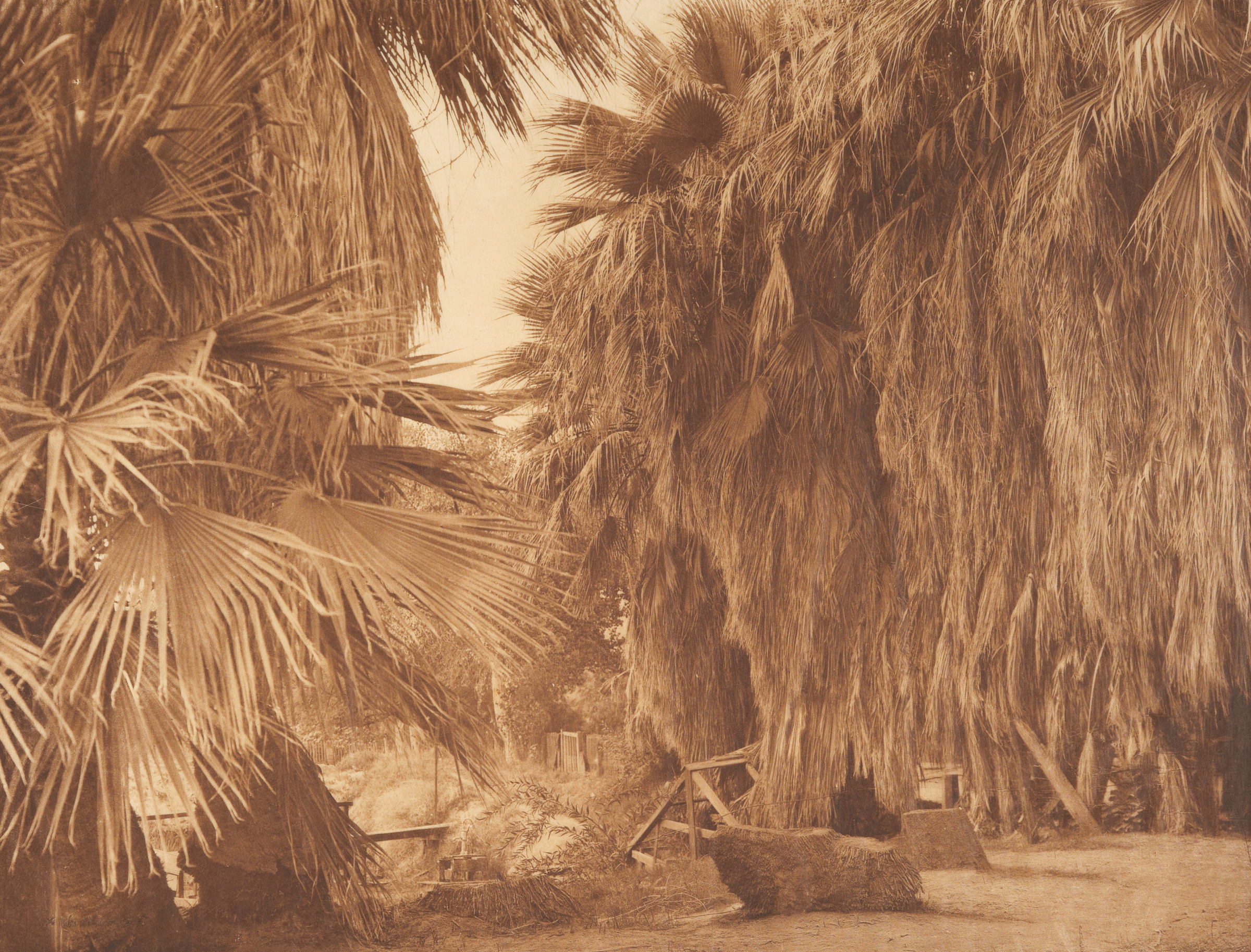 Under the Palms- Cahvilla