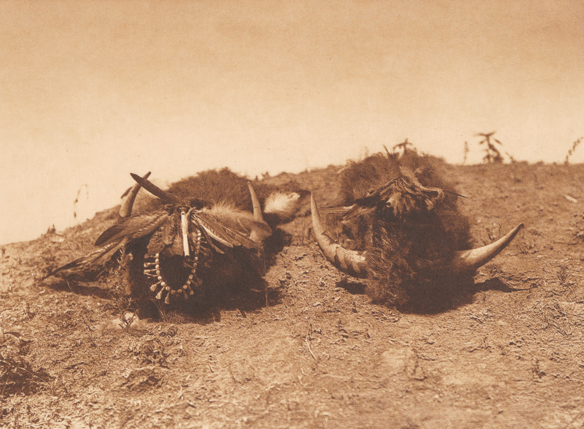 The Buffalo Medicine- Arikara The Buffalo Medicine- Arikara