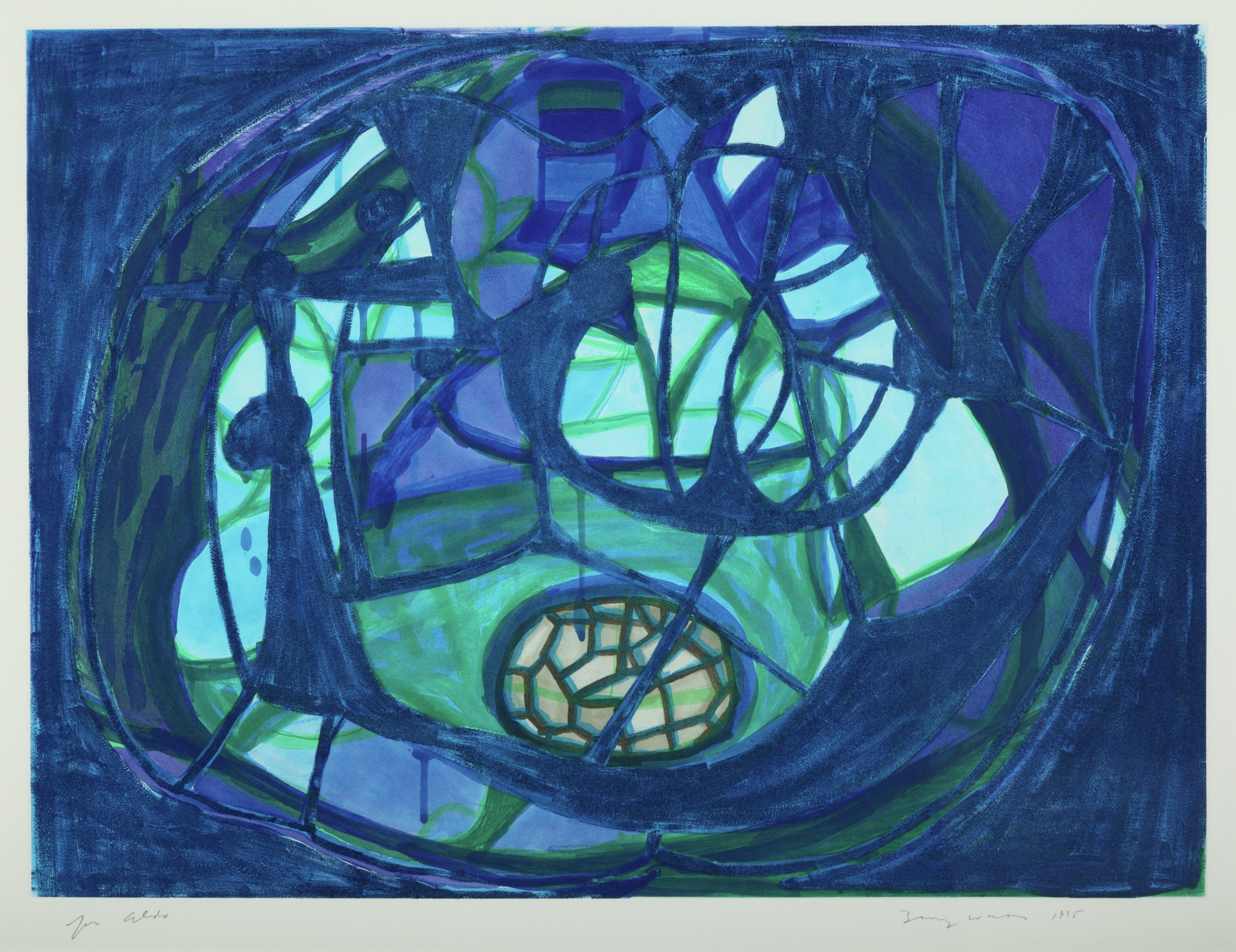 Vorticity Field