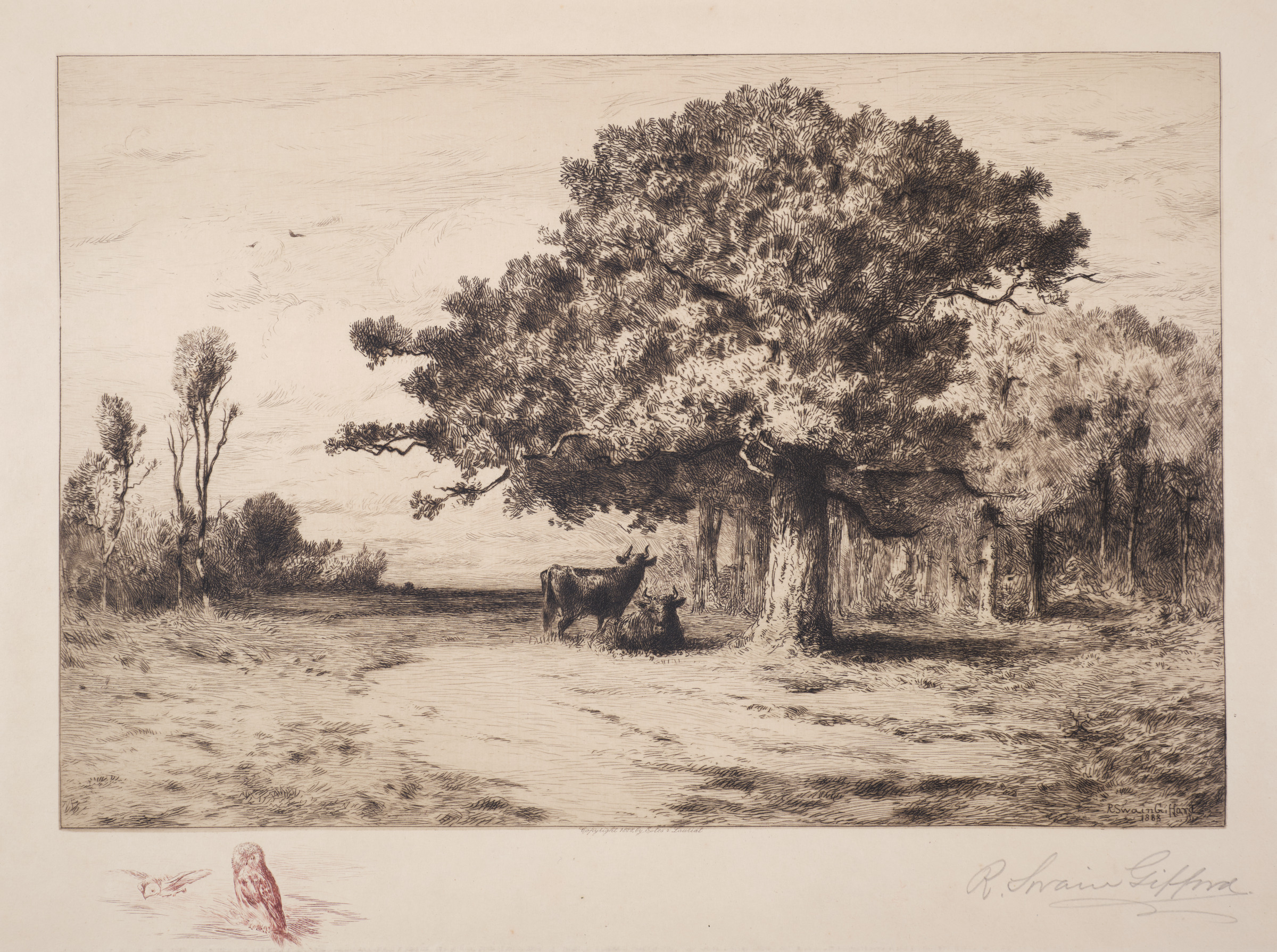 A Woodland Pasture