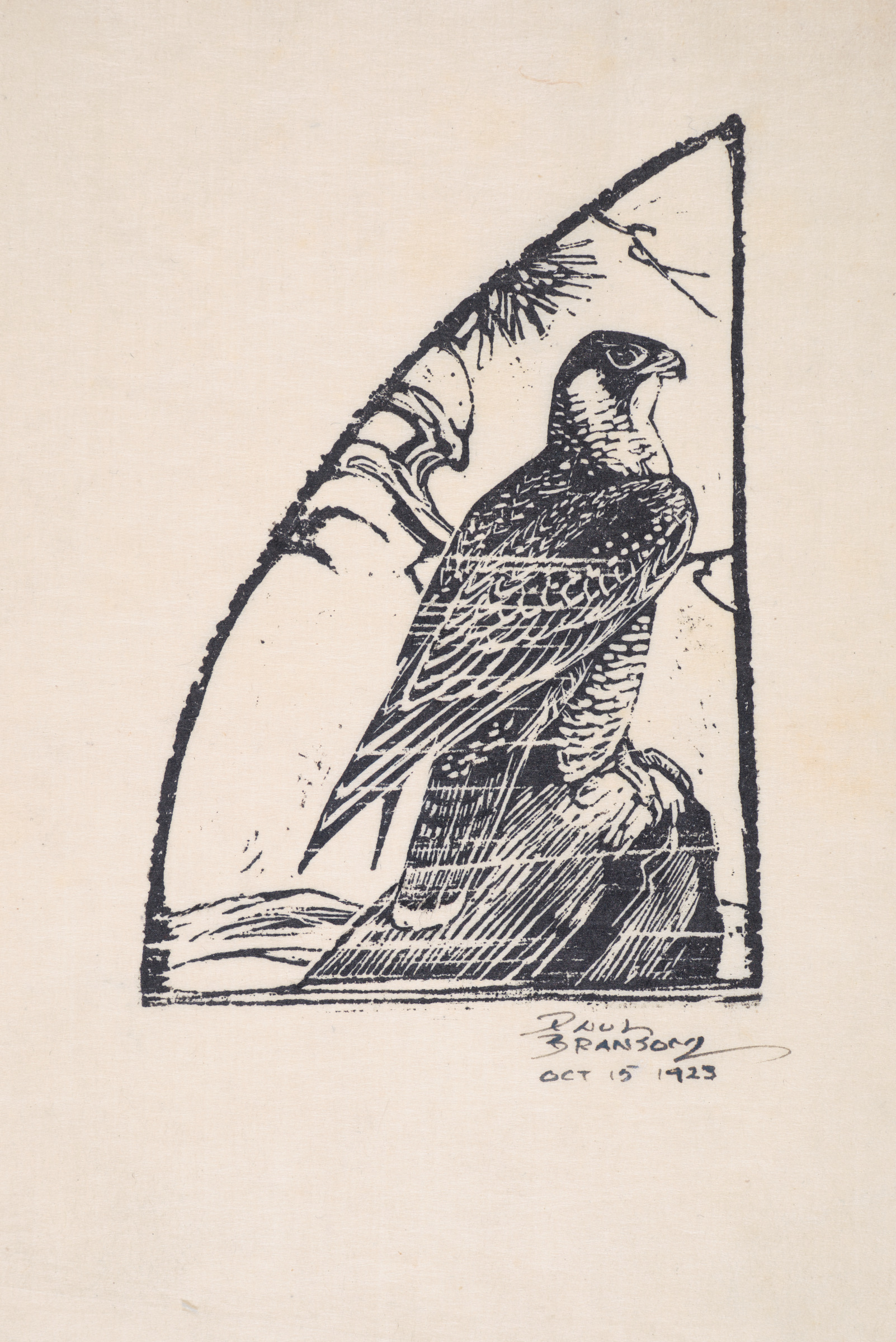 Falcon