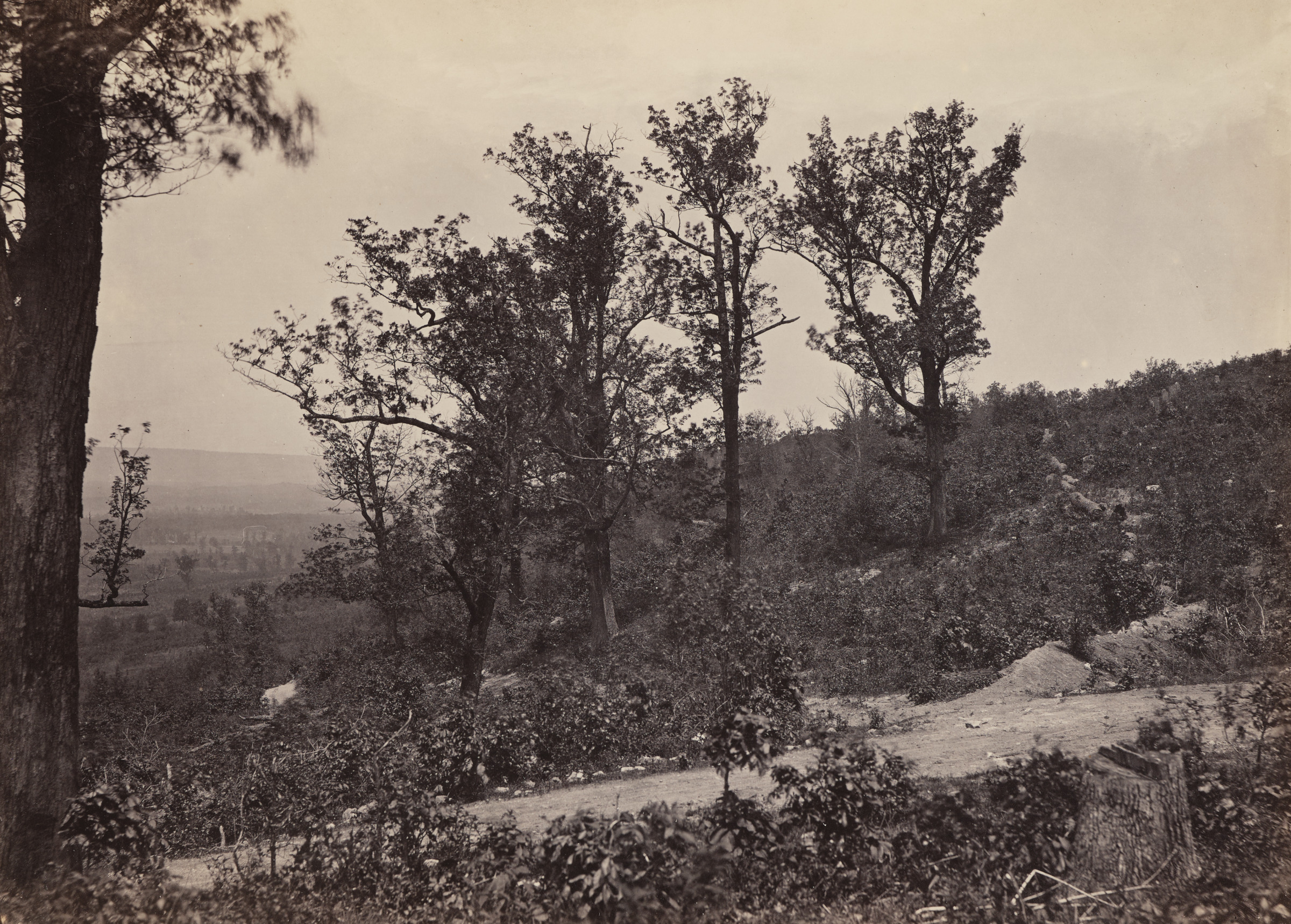 The Crest of Mission Ridge