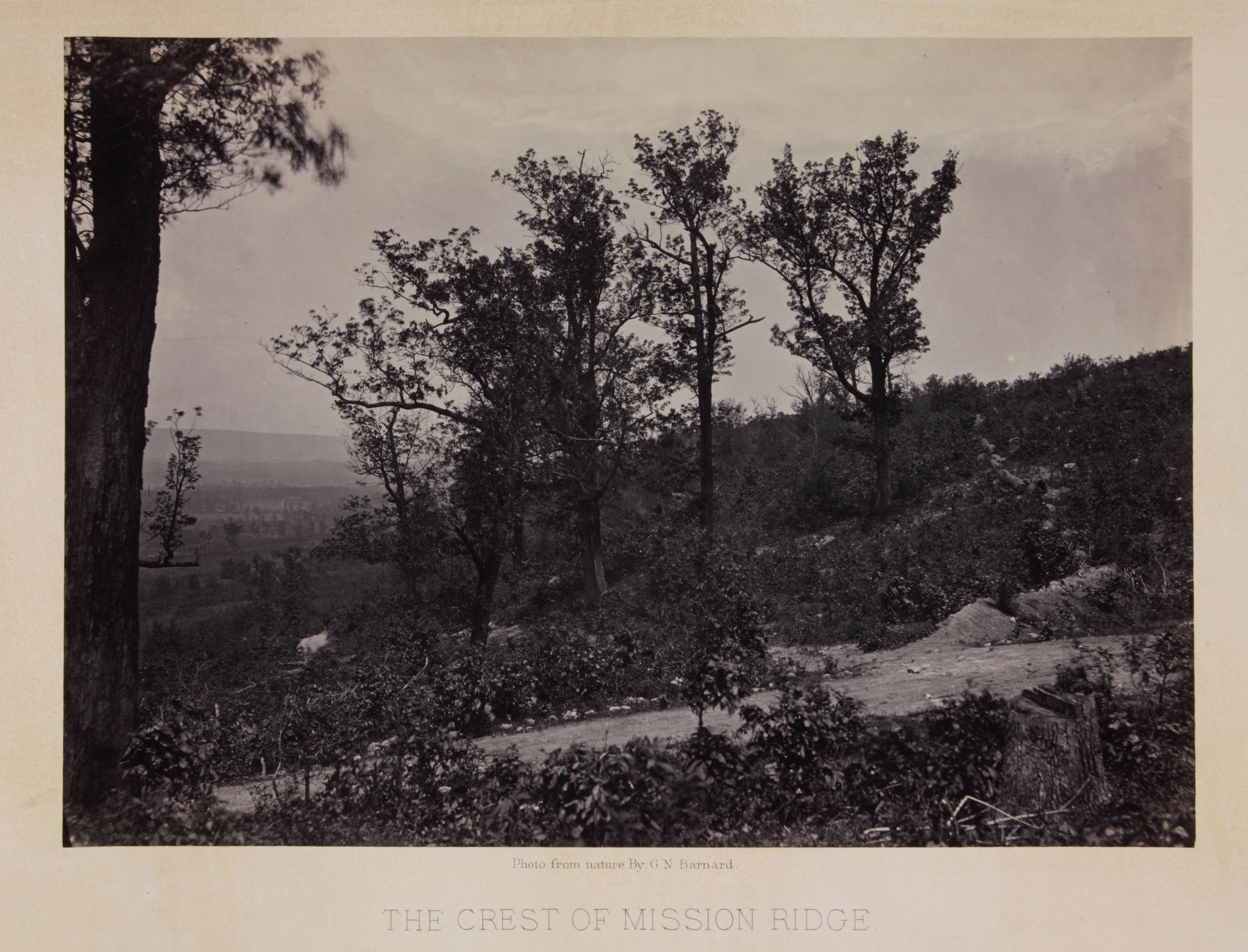 The Crest of Mission Ridge