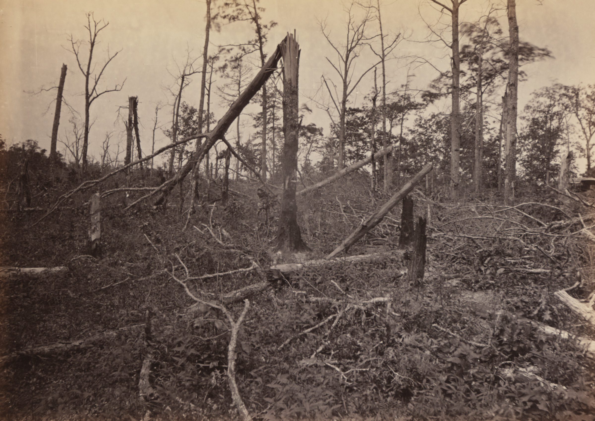 The “Hell Hole” Battlefield of New Hope Church