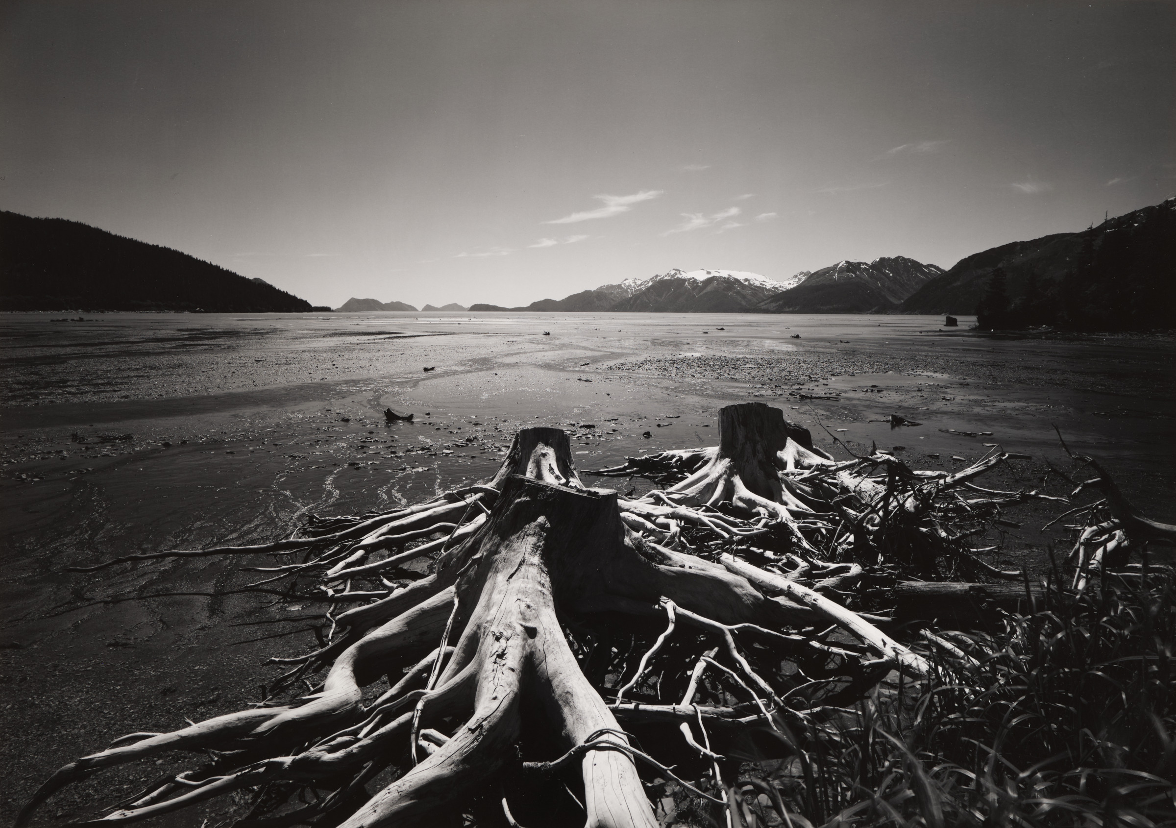 Resurrection Bay, Alaska
