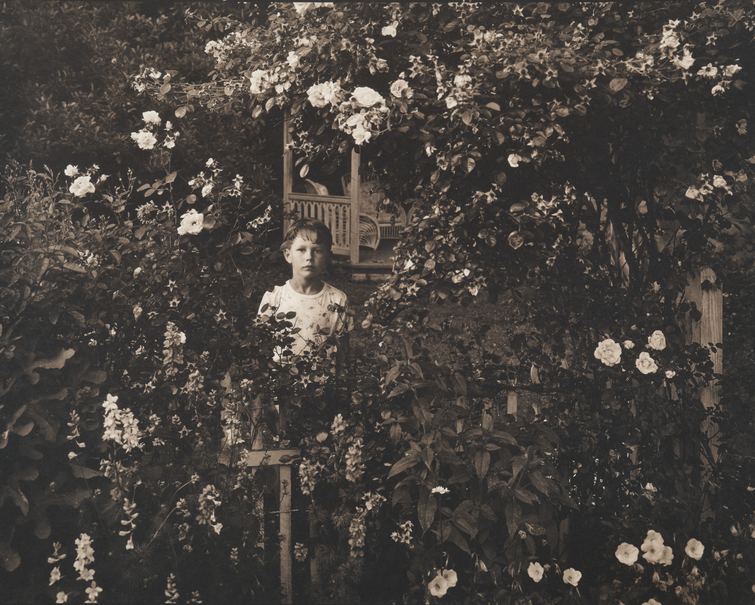 Wylie in Eve’s Garden