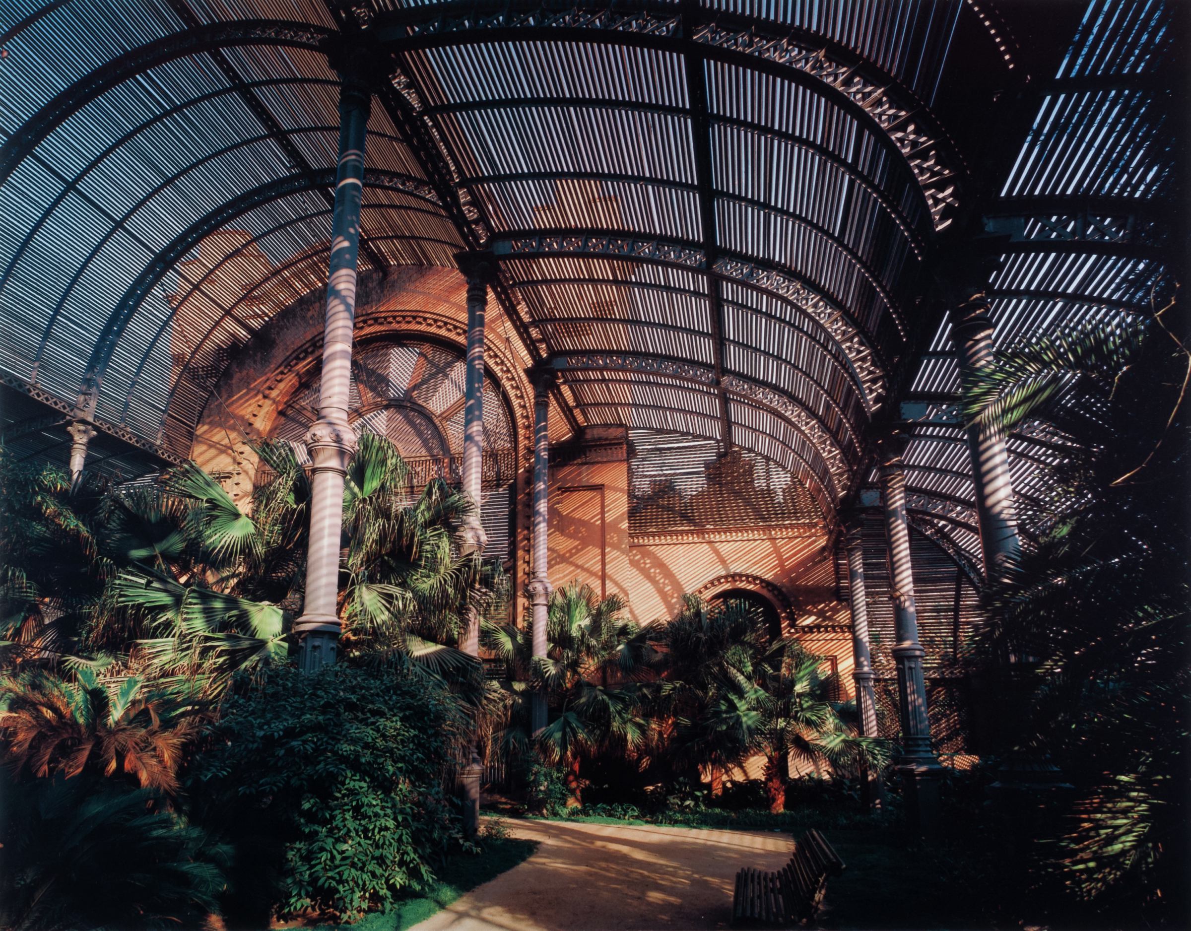 Umbracolo, Barcelona