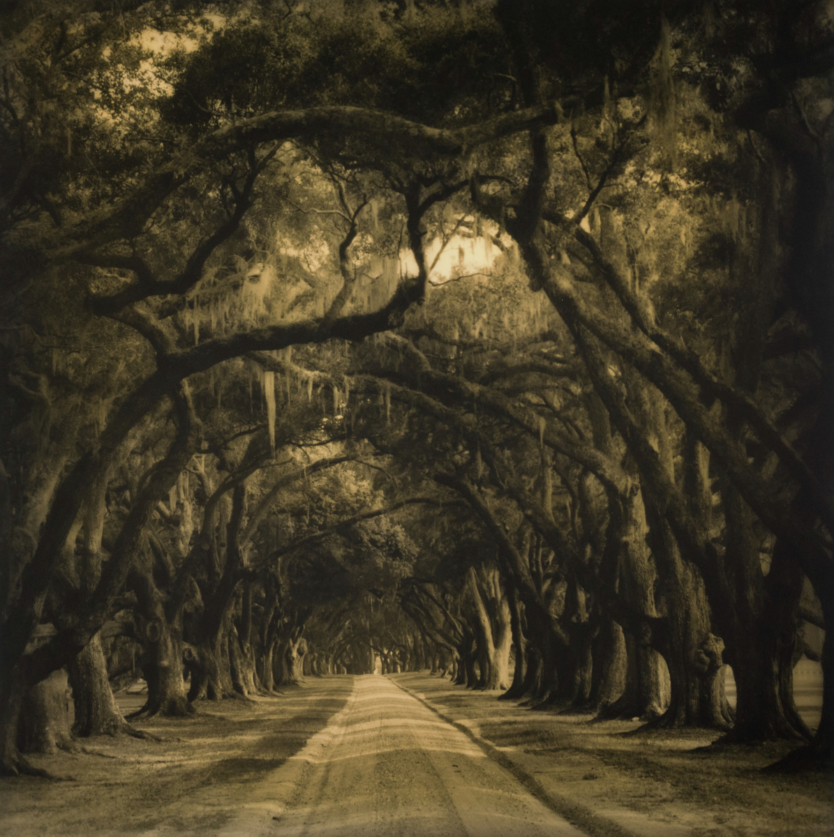 Tomotley, South Carolina