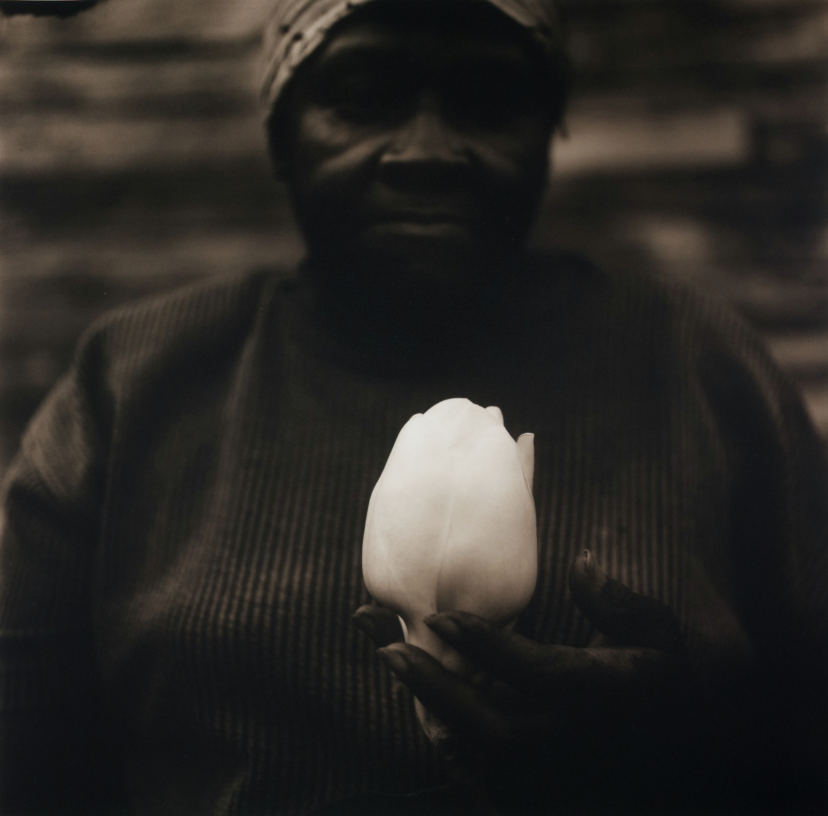 Gussie’s Magnolia,  Lagrange TN