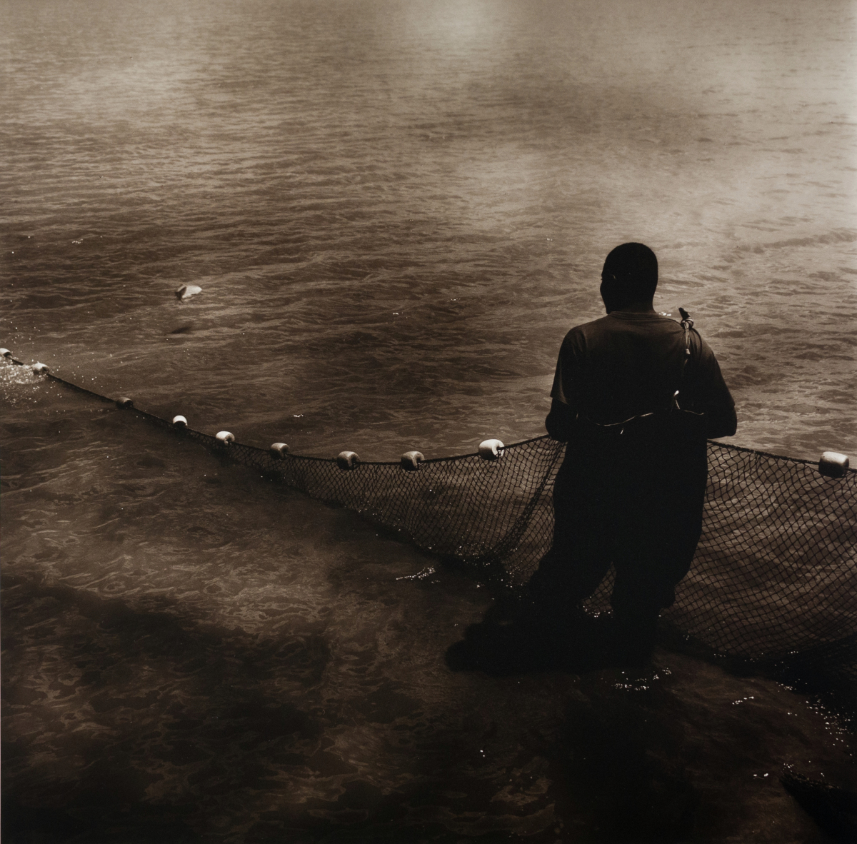 The Seiner, Leflore County, MS