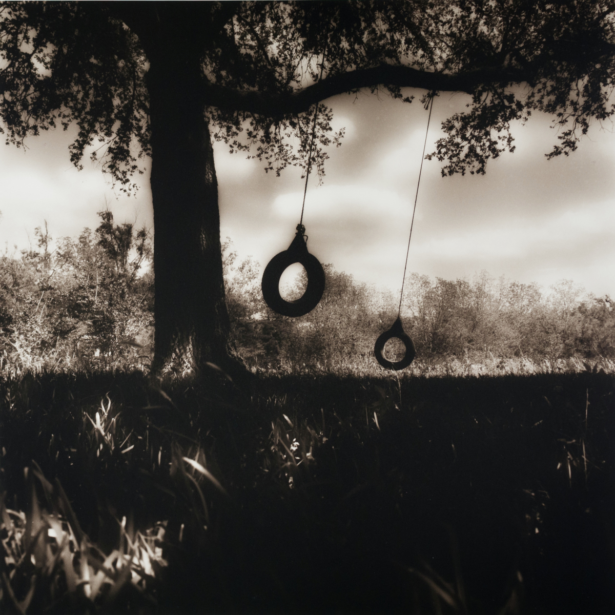 Tire Swings, Landry, Parish, LA