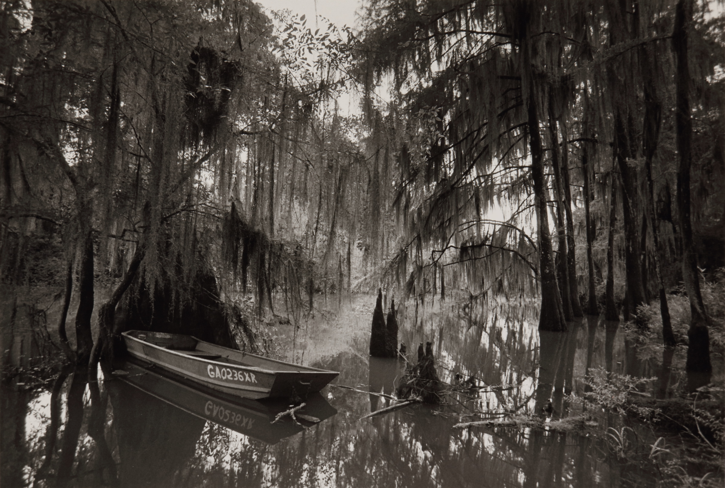 River Boat in Cypress Swamp