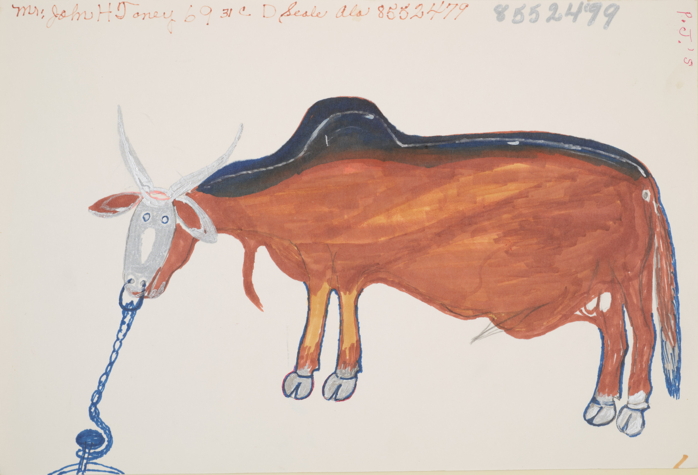 Brahma Ready to Fight