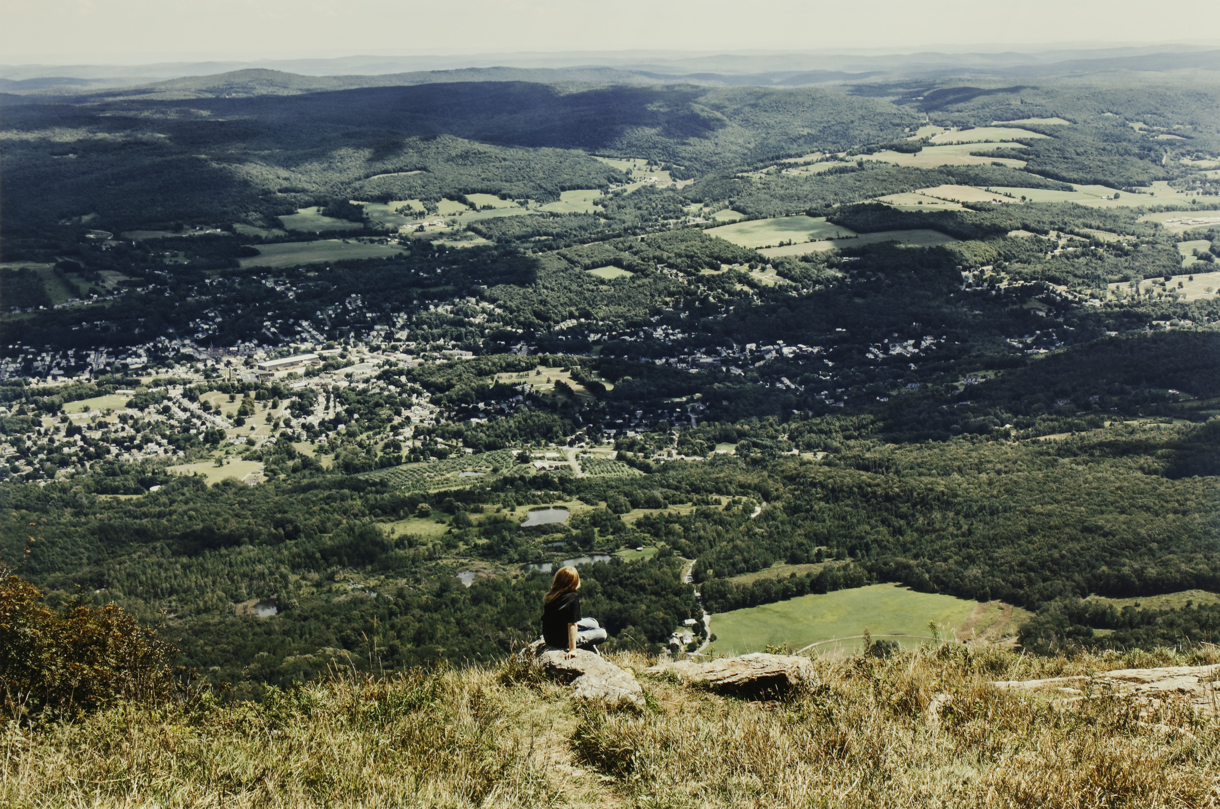 Down In The Valley