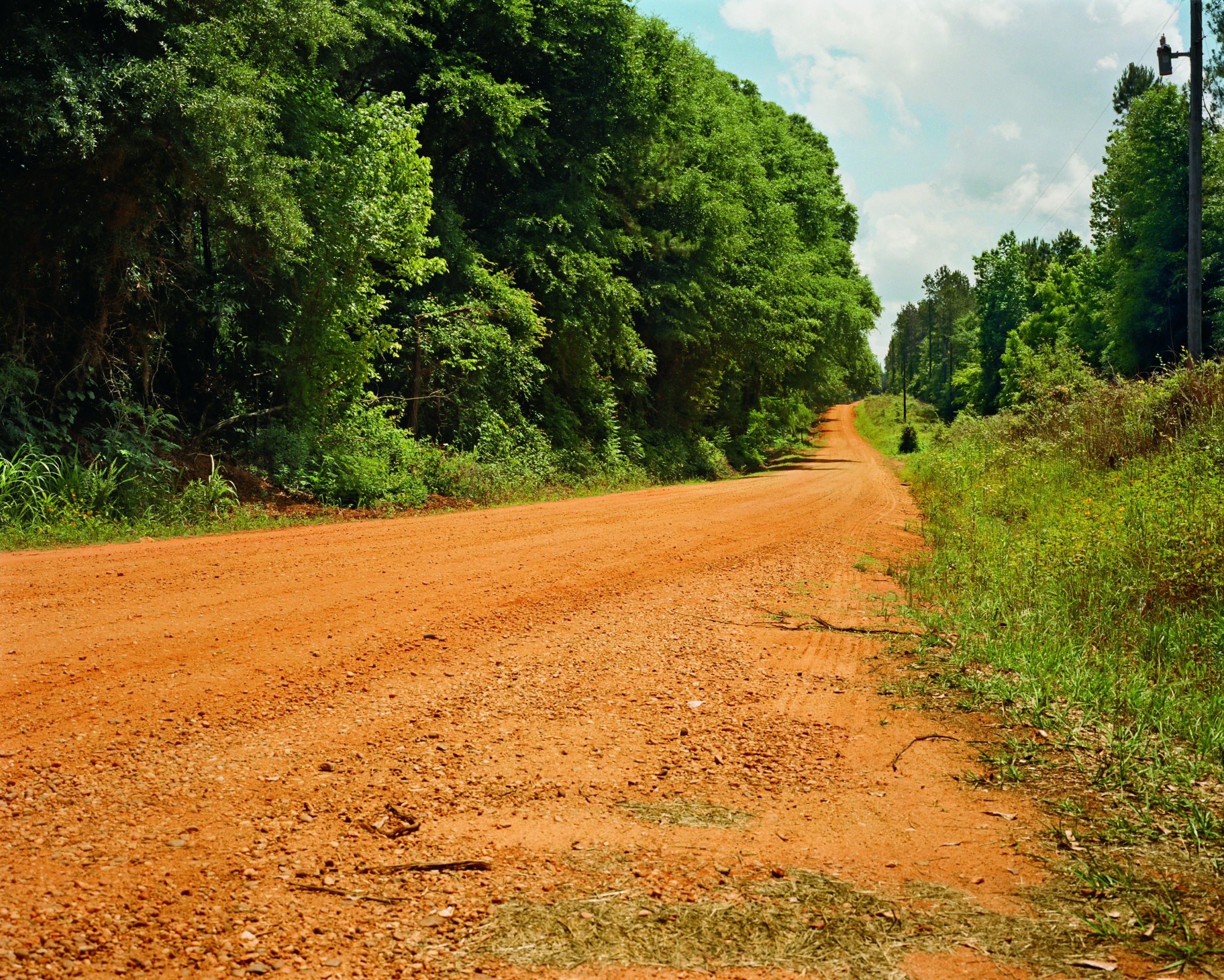 The life of the flesh is in the blood