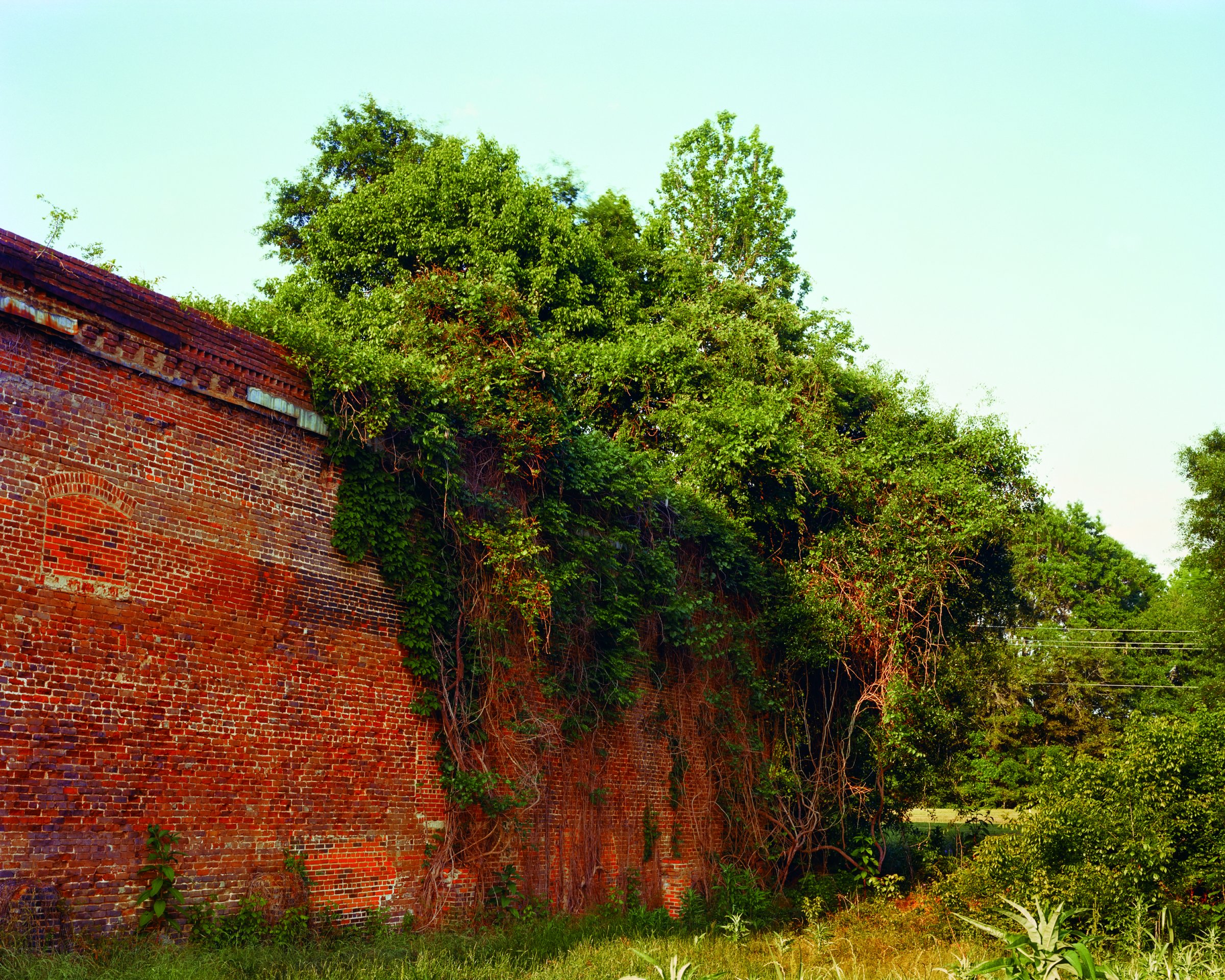 The name of the LORD is a fortified tower; the righteous run to it and are safe