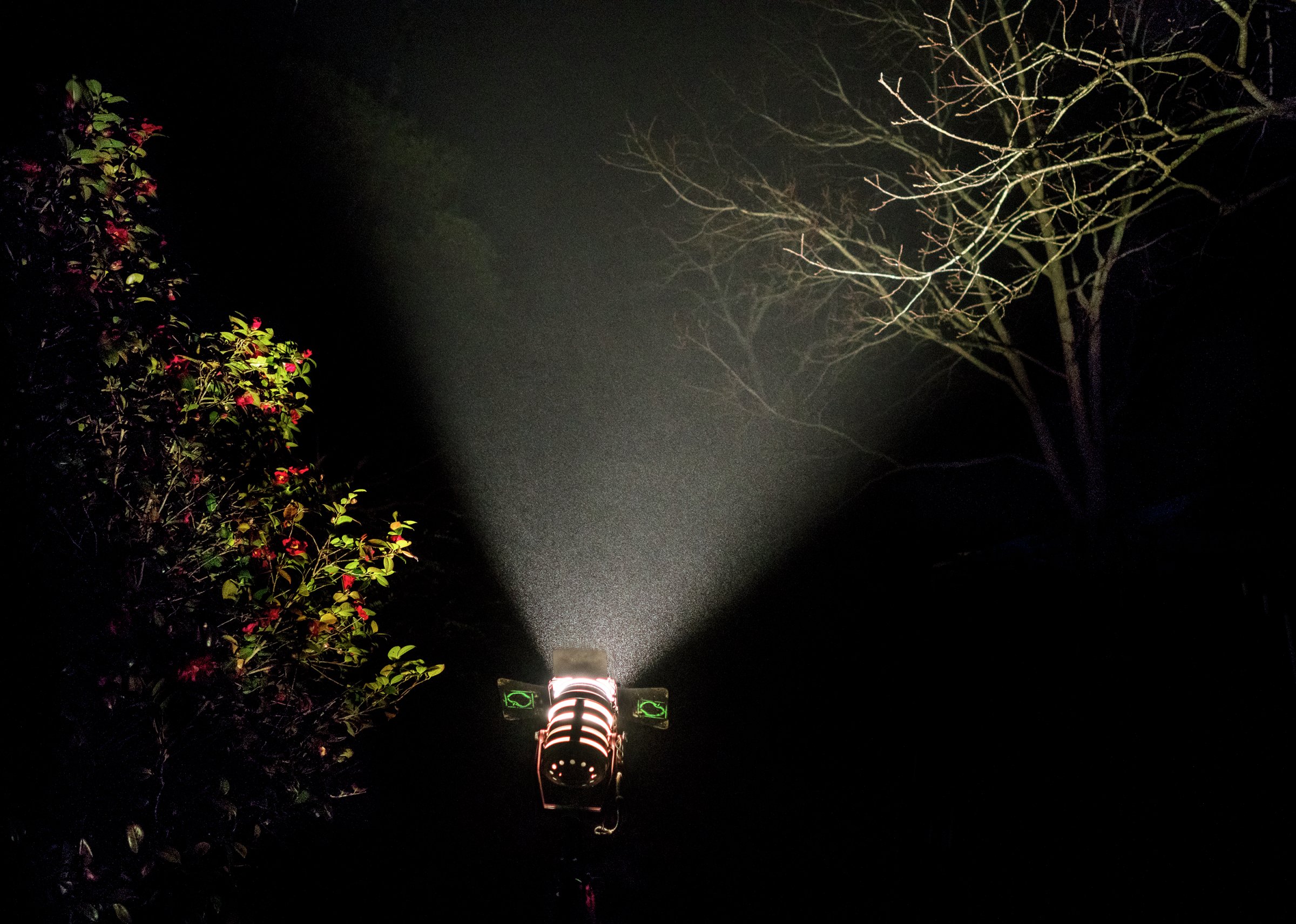 Abducted, Waxhaw, North Carolina