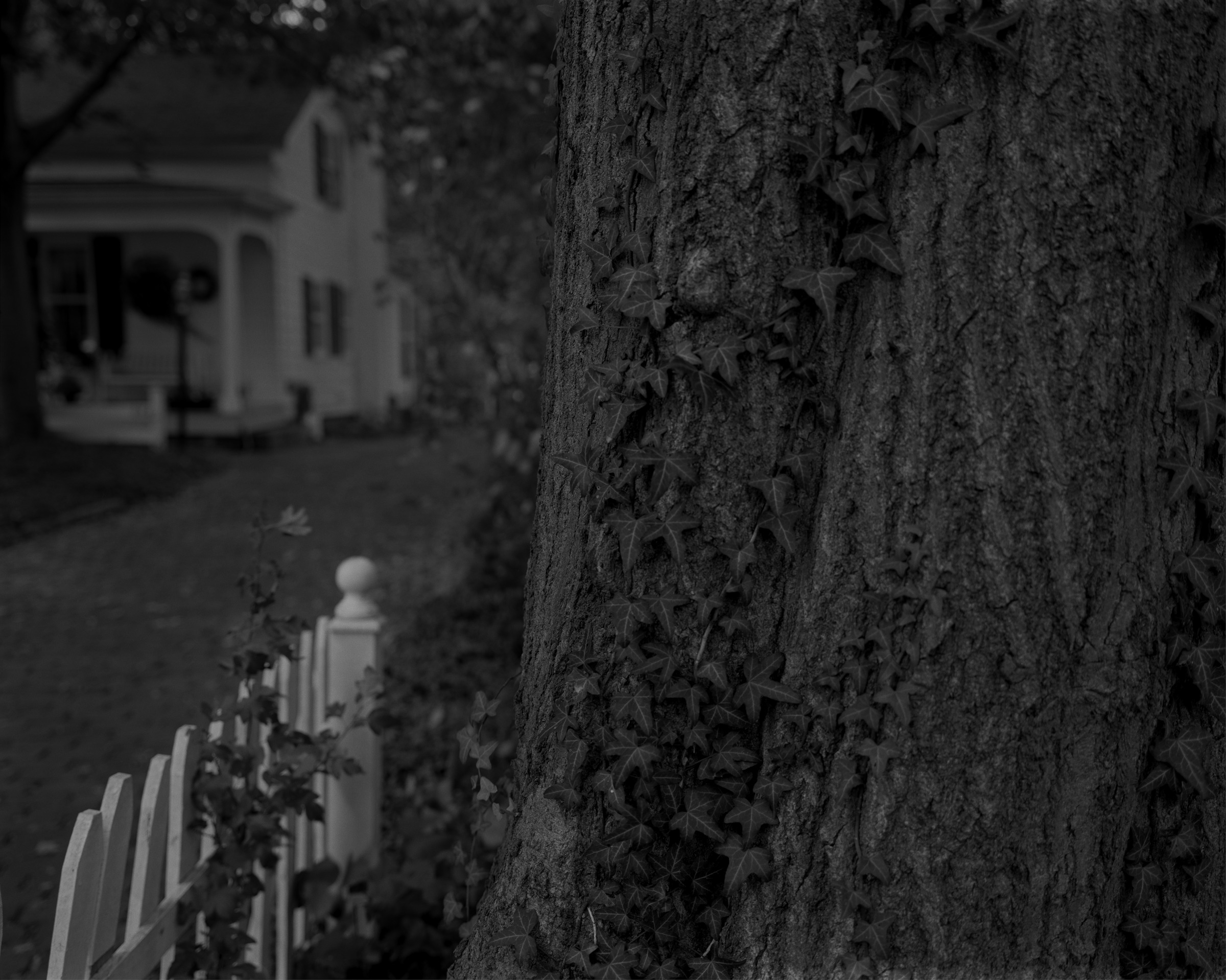 Untitled #5 (Tree Trunk, Picket Fence, and House)