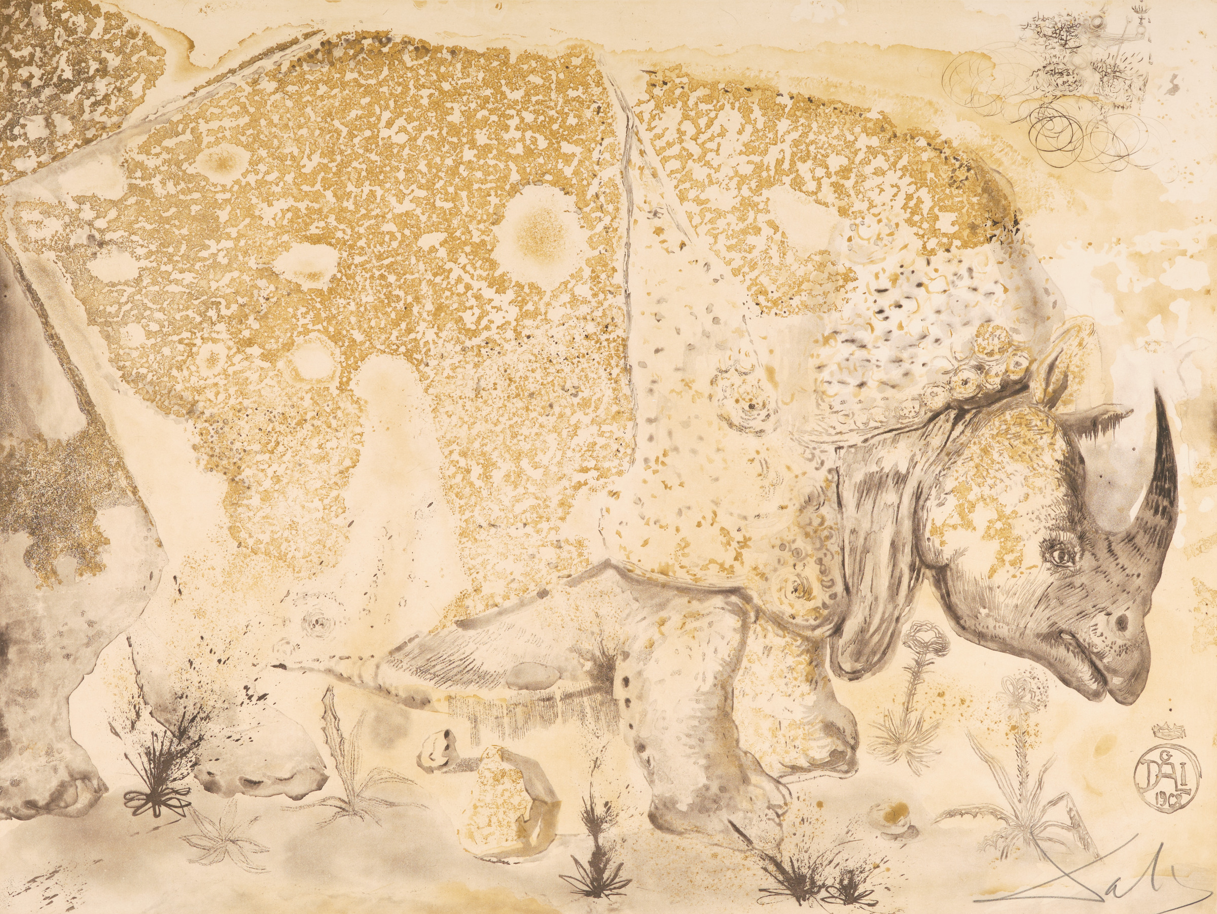 Rhinocéros