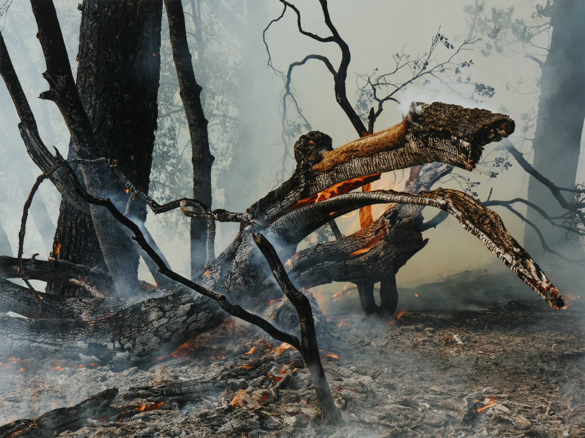 Controlled Burn, California