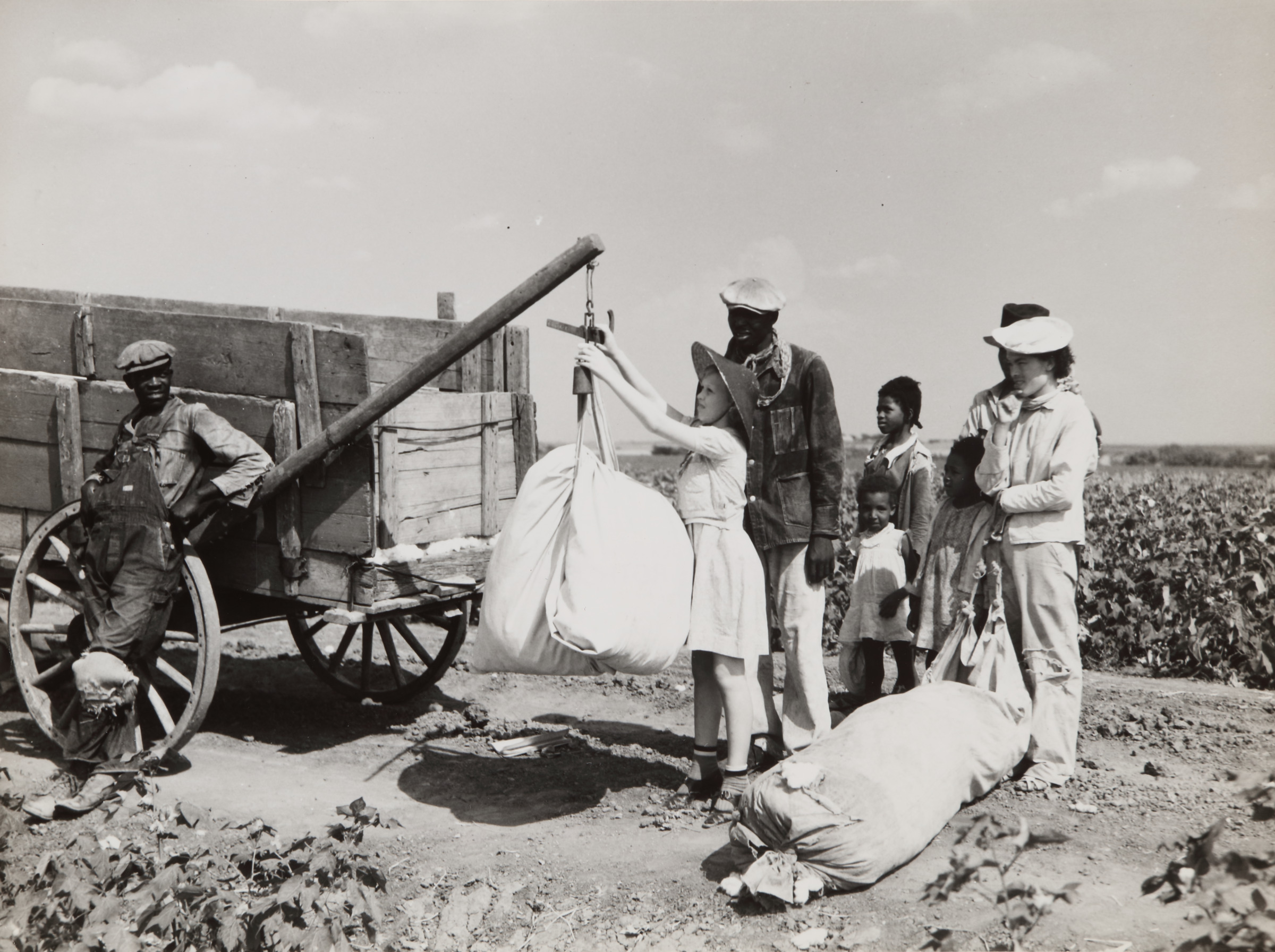 Weighing Cotton, Texas