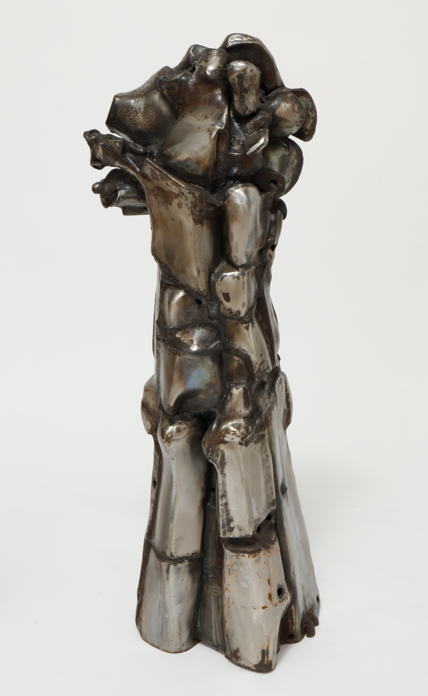 Torso