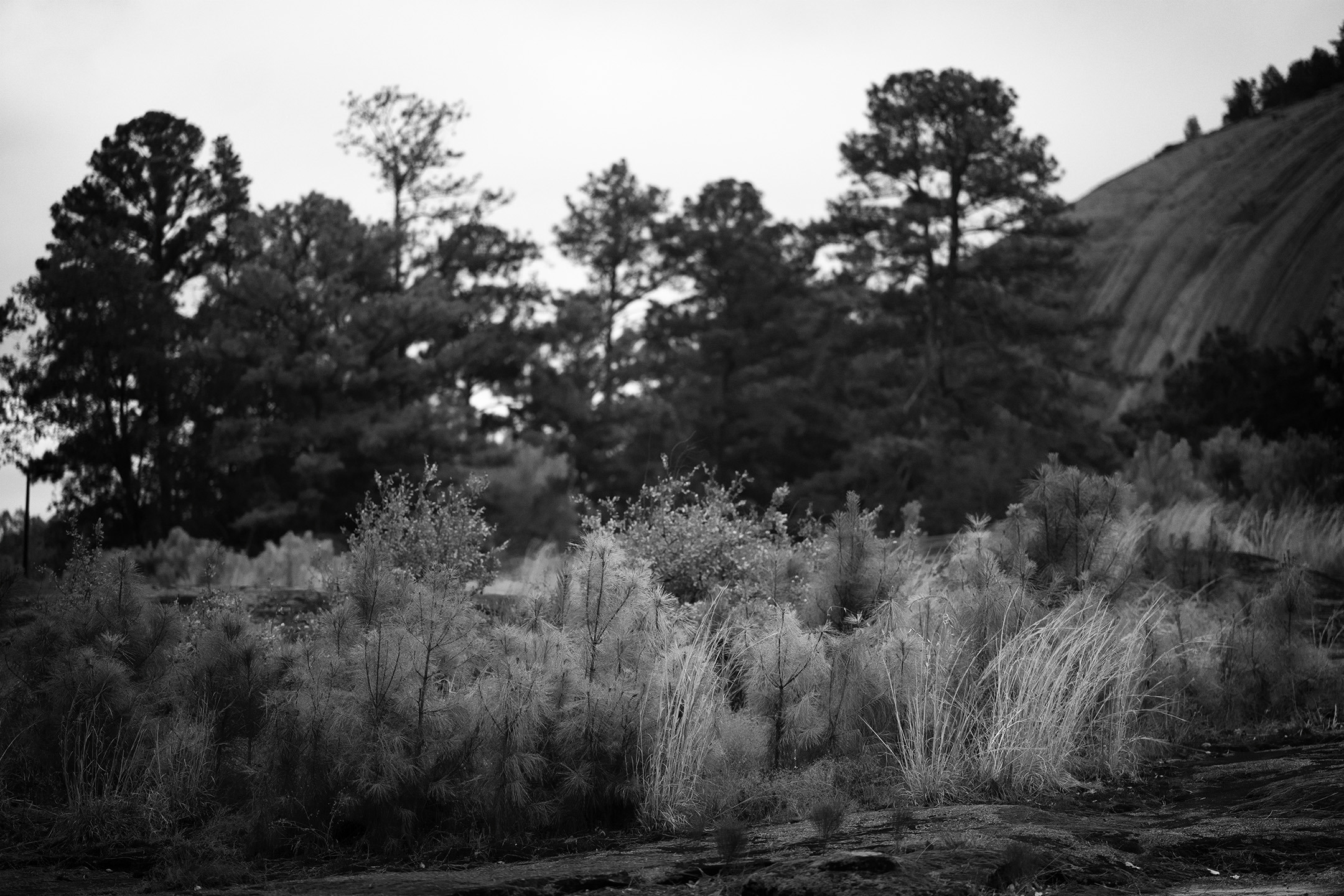 SouthLand, from the Invisible Empire series