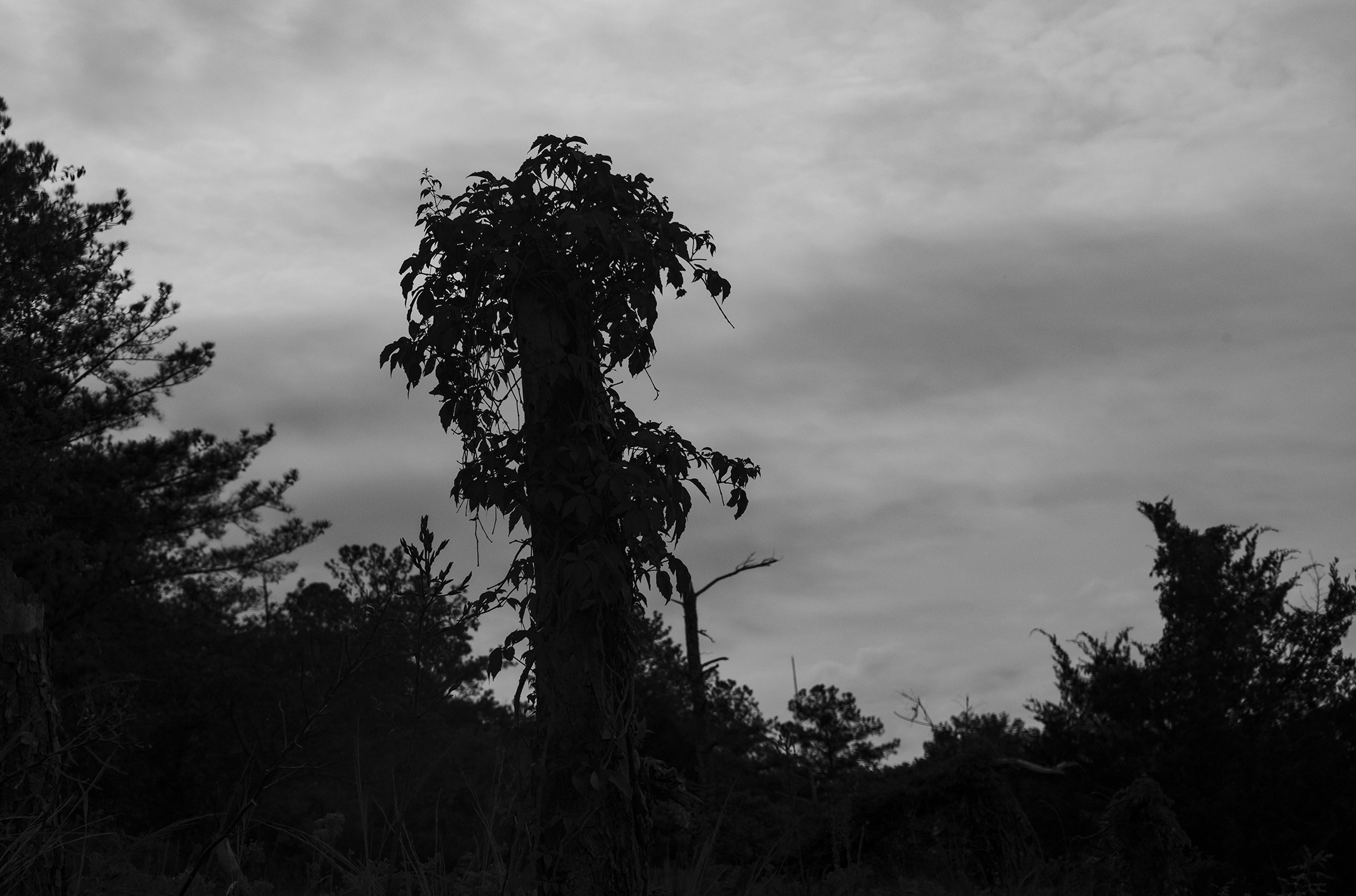 Ceremonies, from the Invisible Empire series