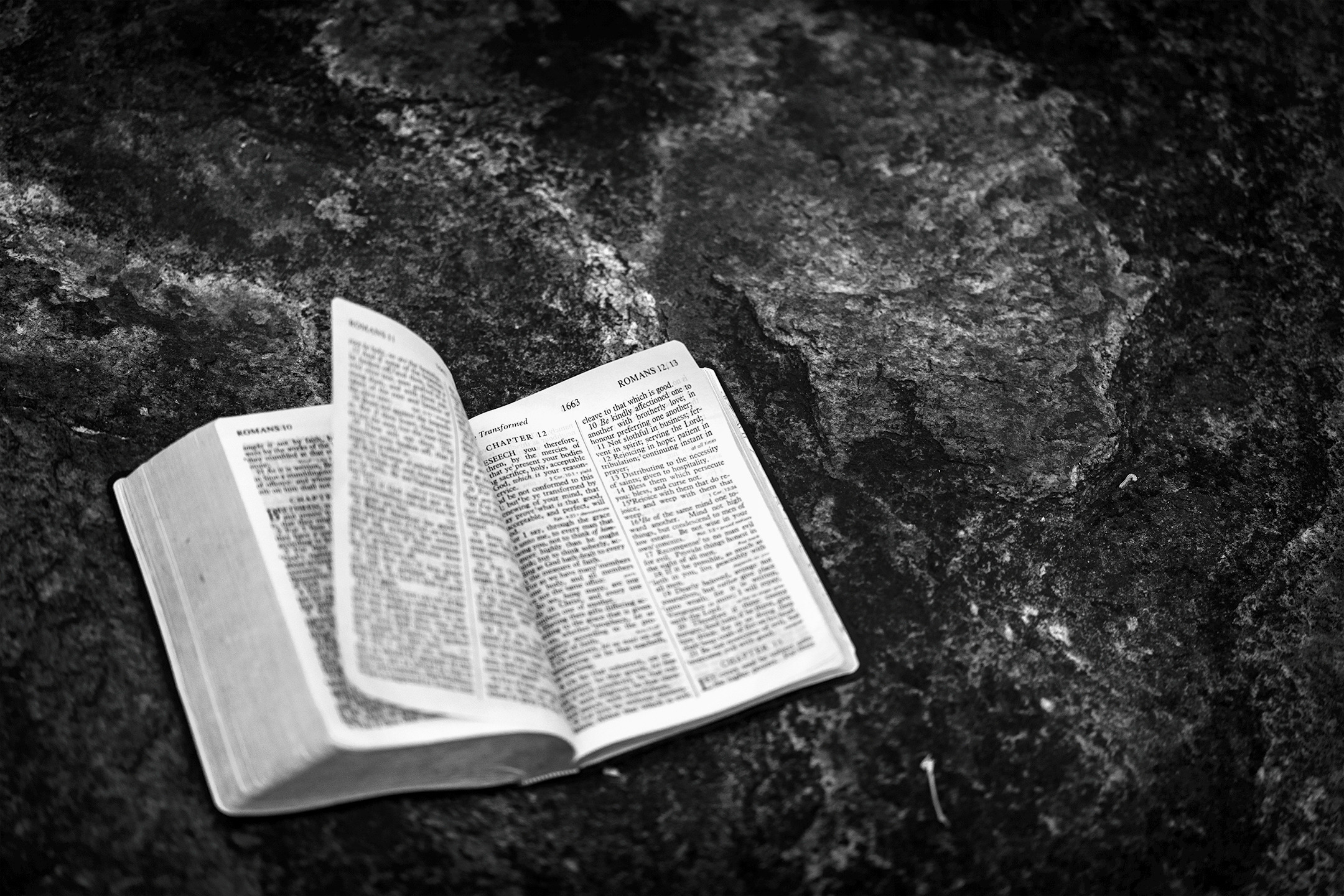 Bible, from the Invisible Empire series