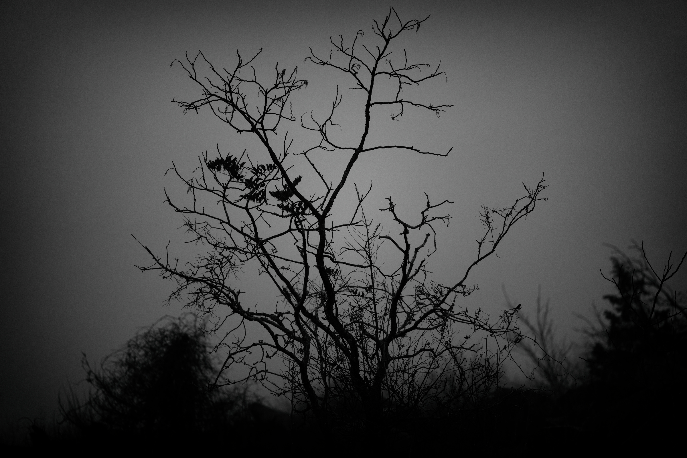 I Can’t Breathe, from the Invisible Empire series