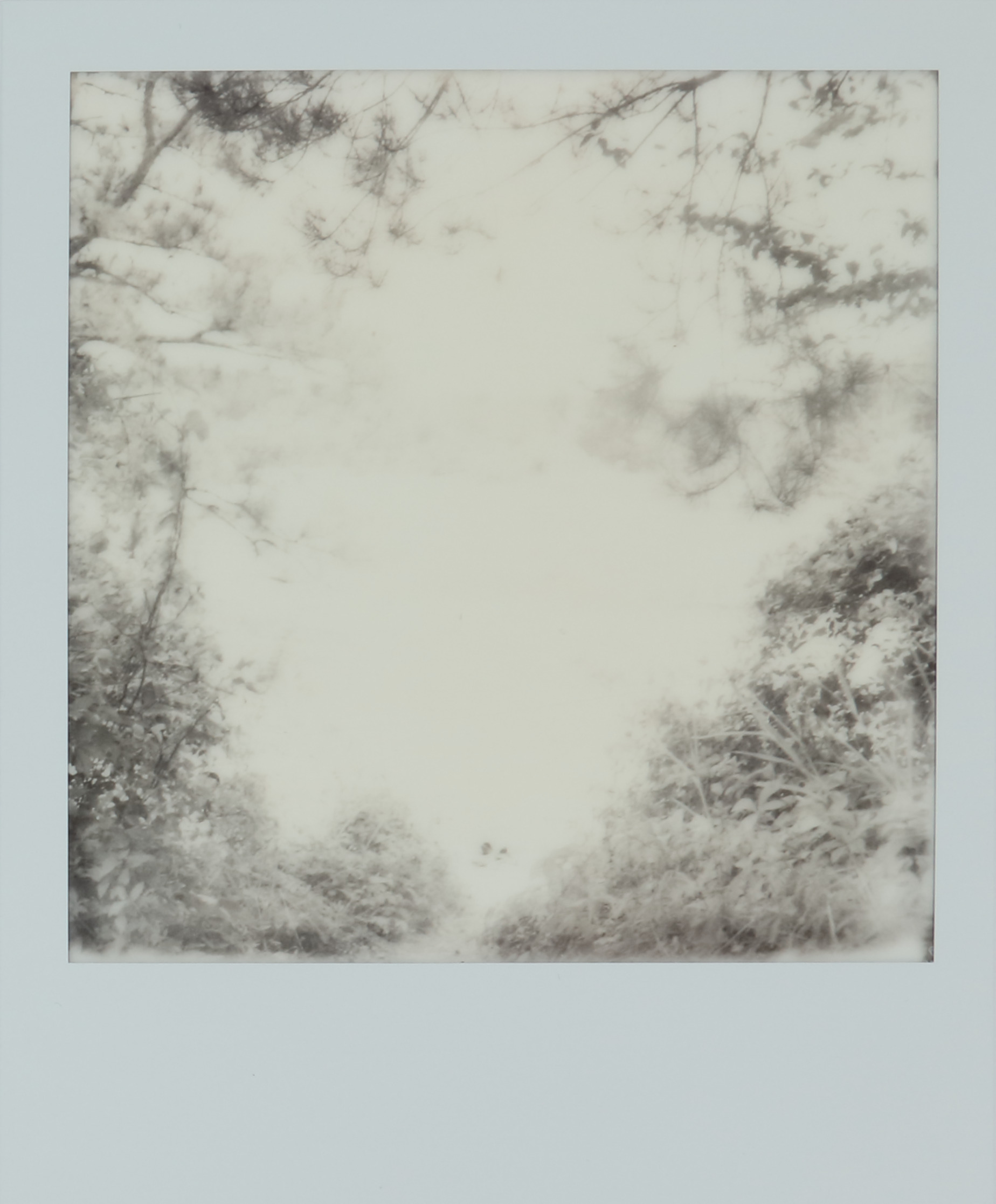 Untitled from the Invisible Empire series