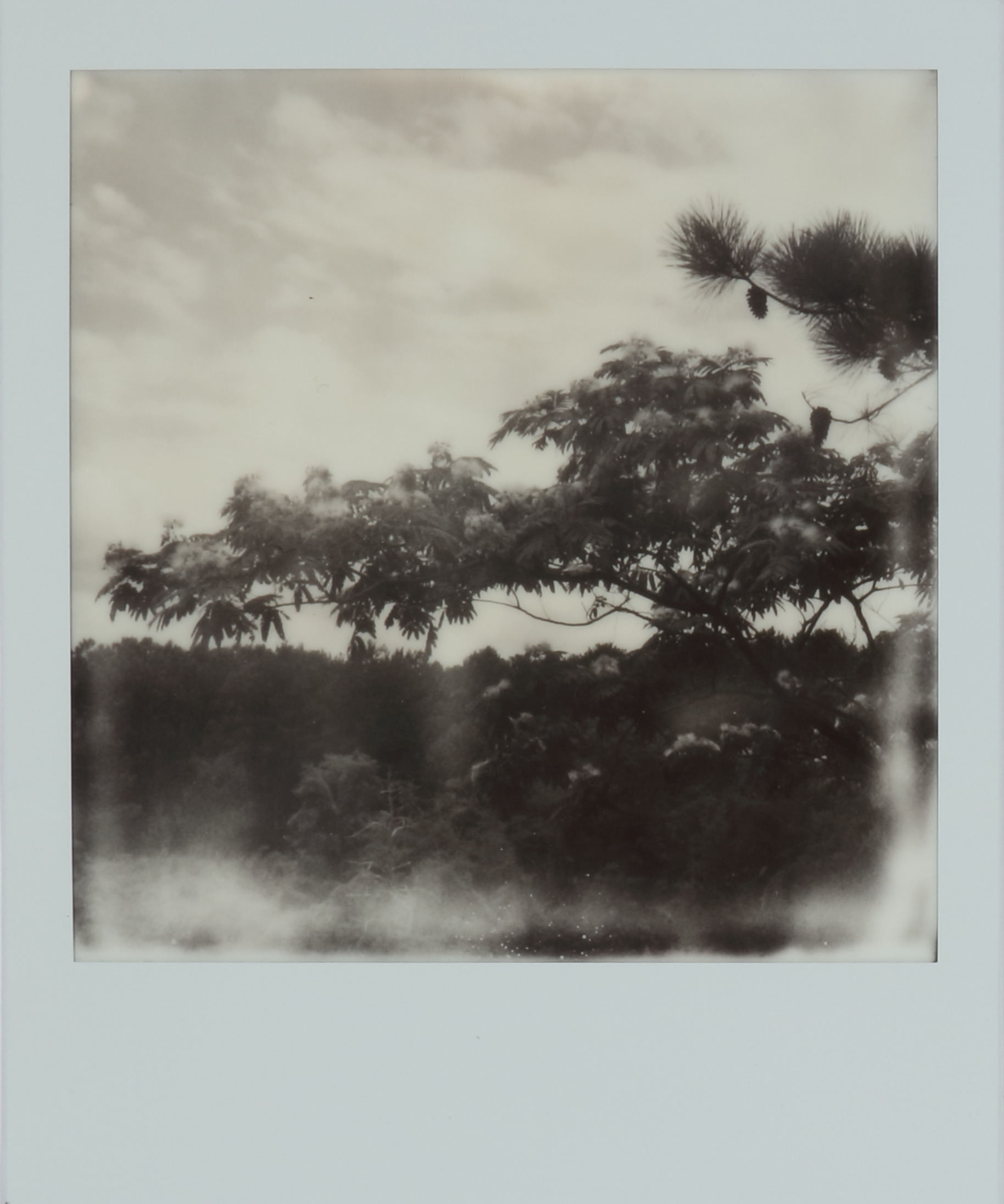 Untitled from the Invisible Empire series