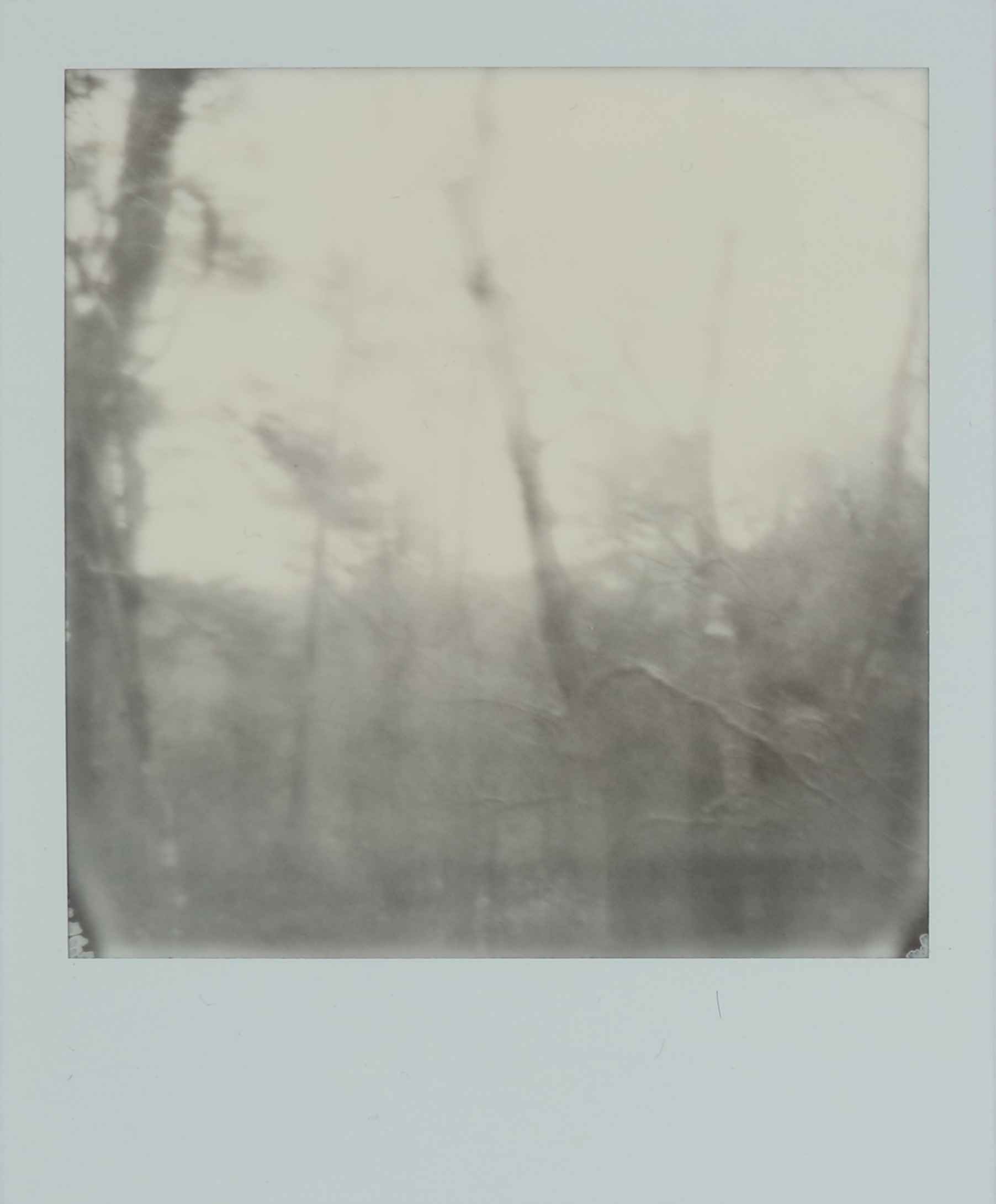 Untitled from the Invisible Empire series