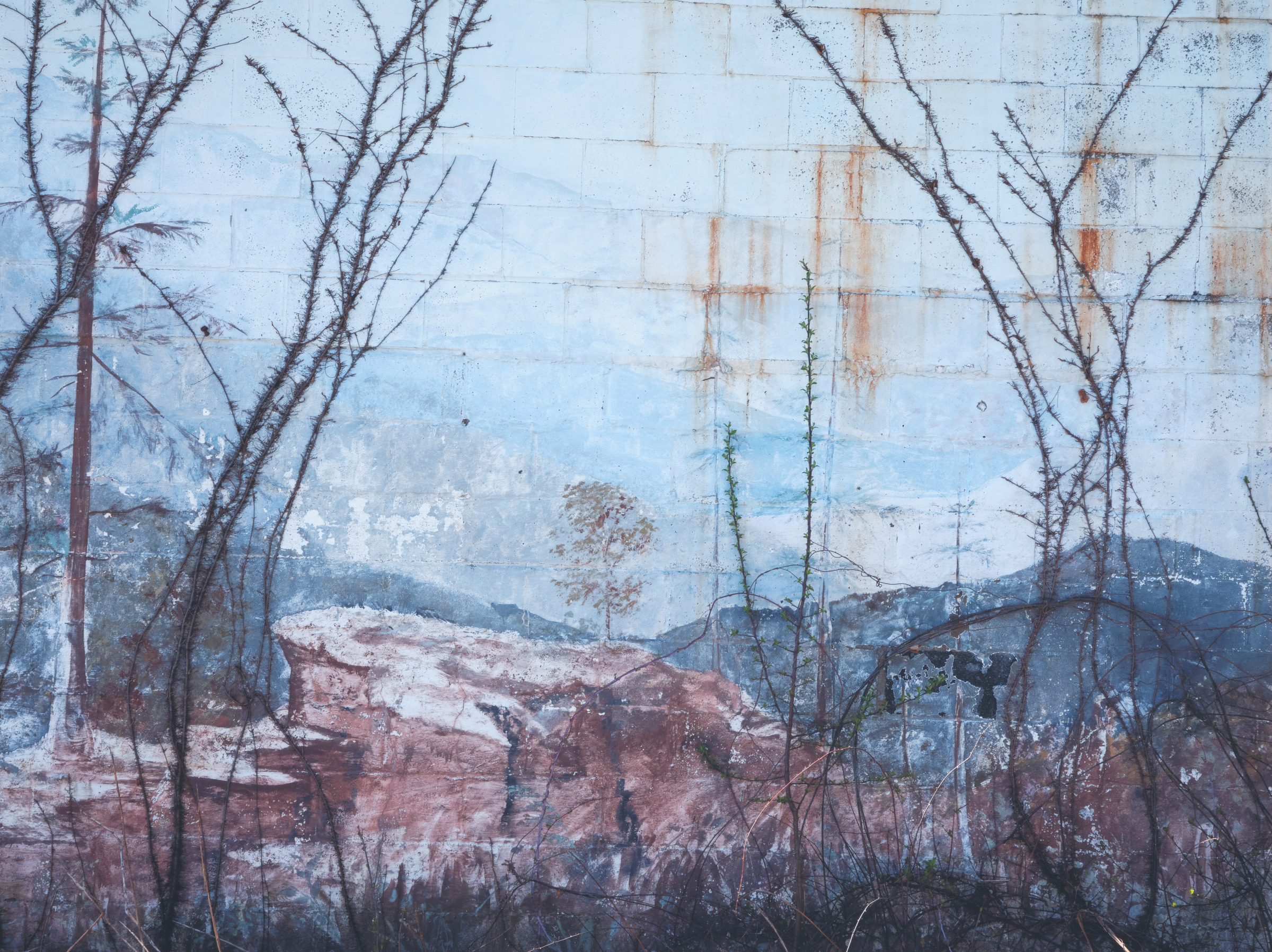 Regrowth, from the Our Time on Earth series