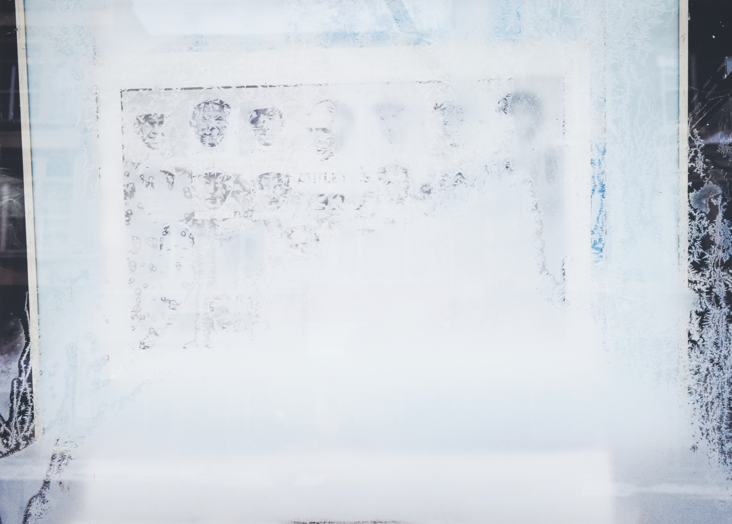 Hoarfrost, from the Our Time on Earth series