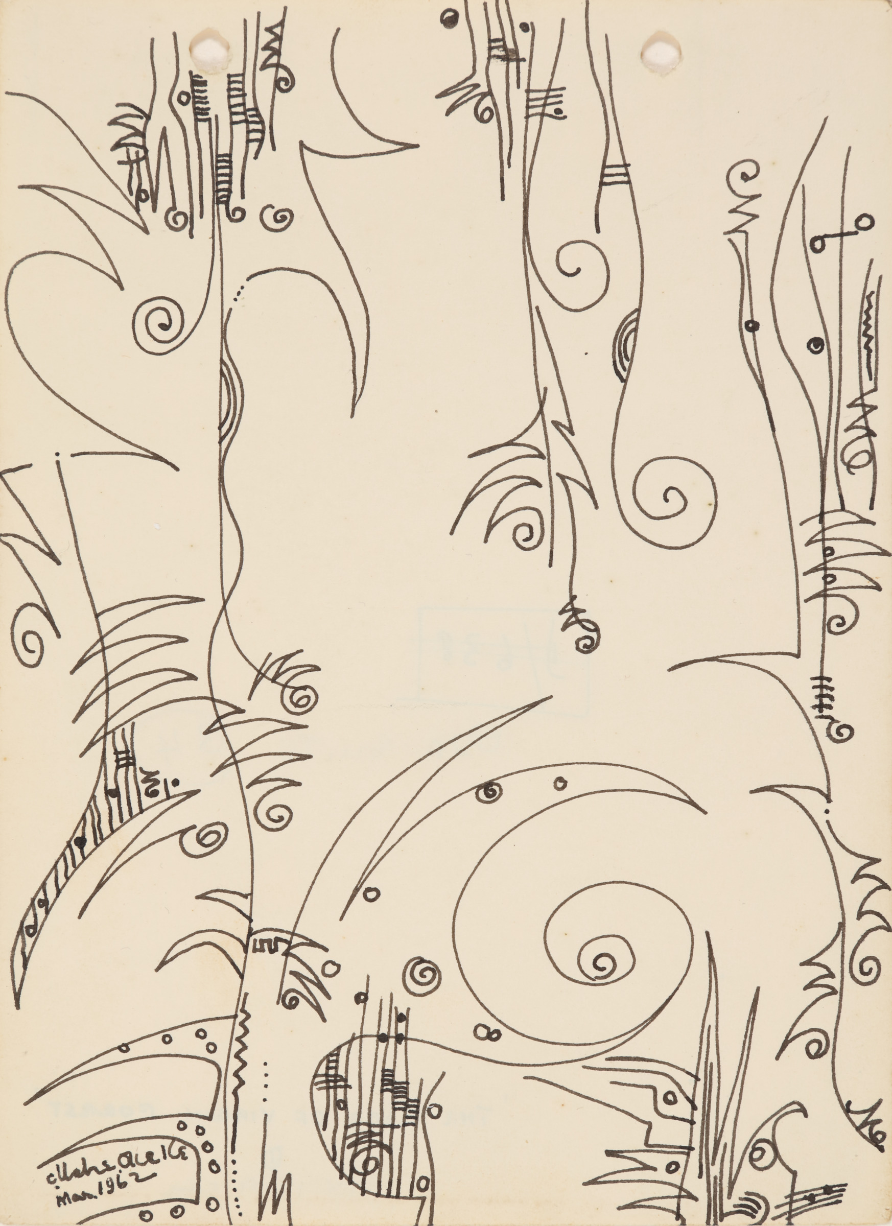 The Edge of Virgin Forest