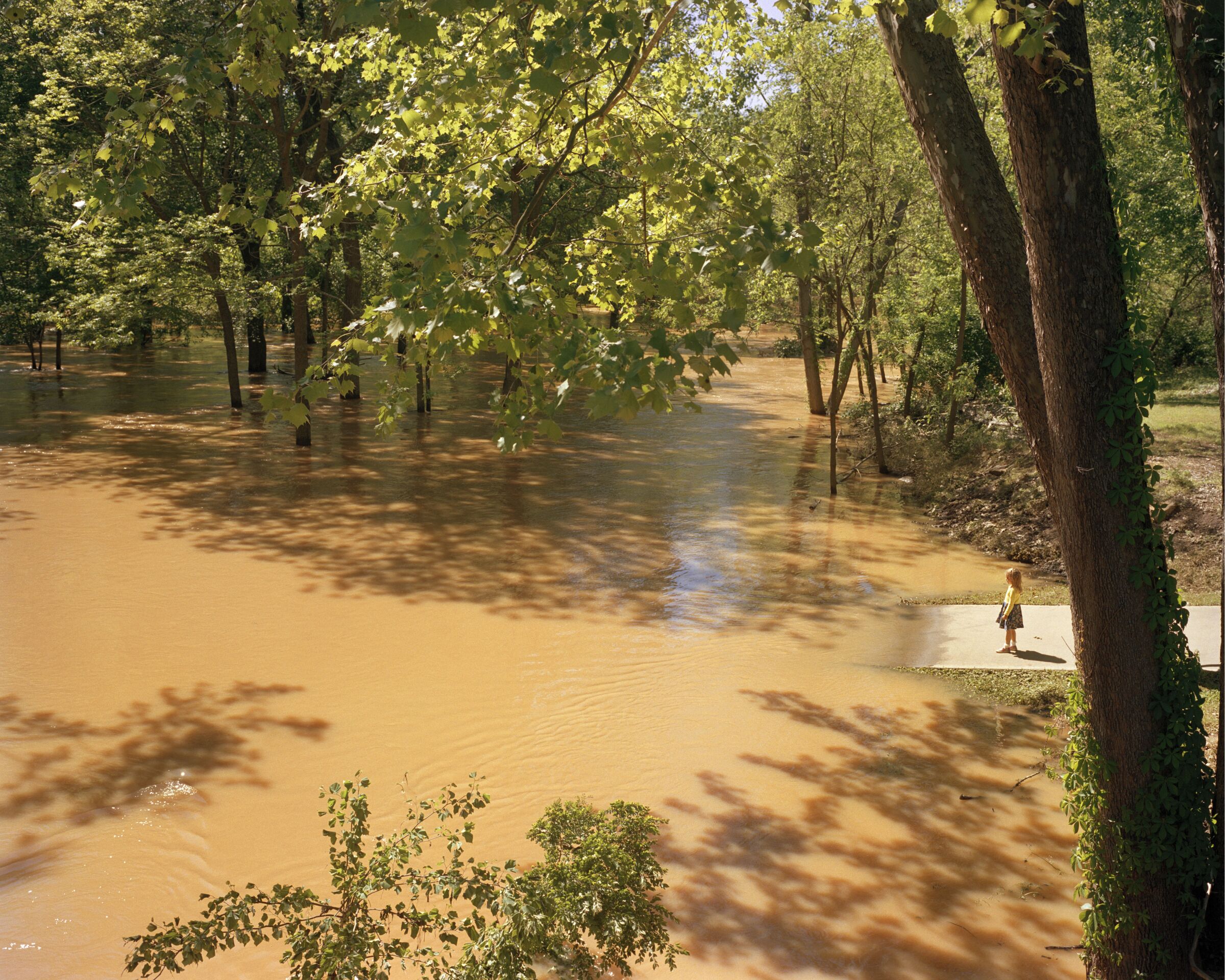 Untitled, from the Traditions Highway series