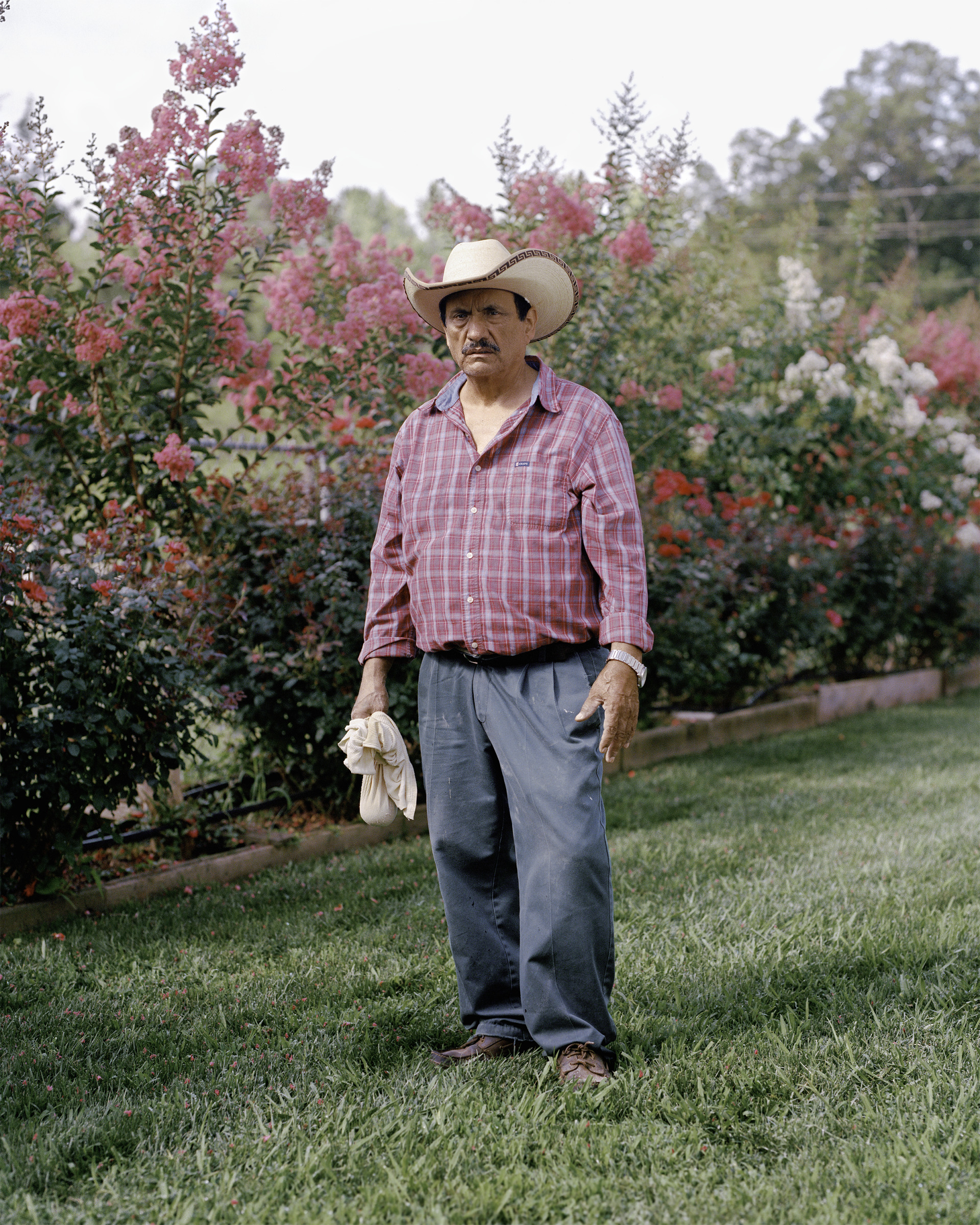 The Rose Grower
