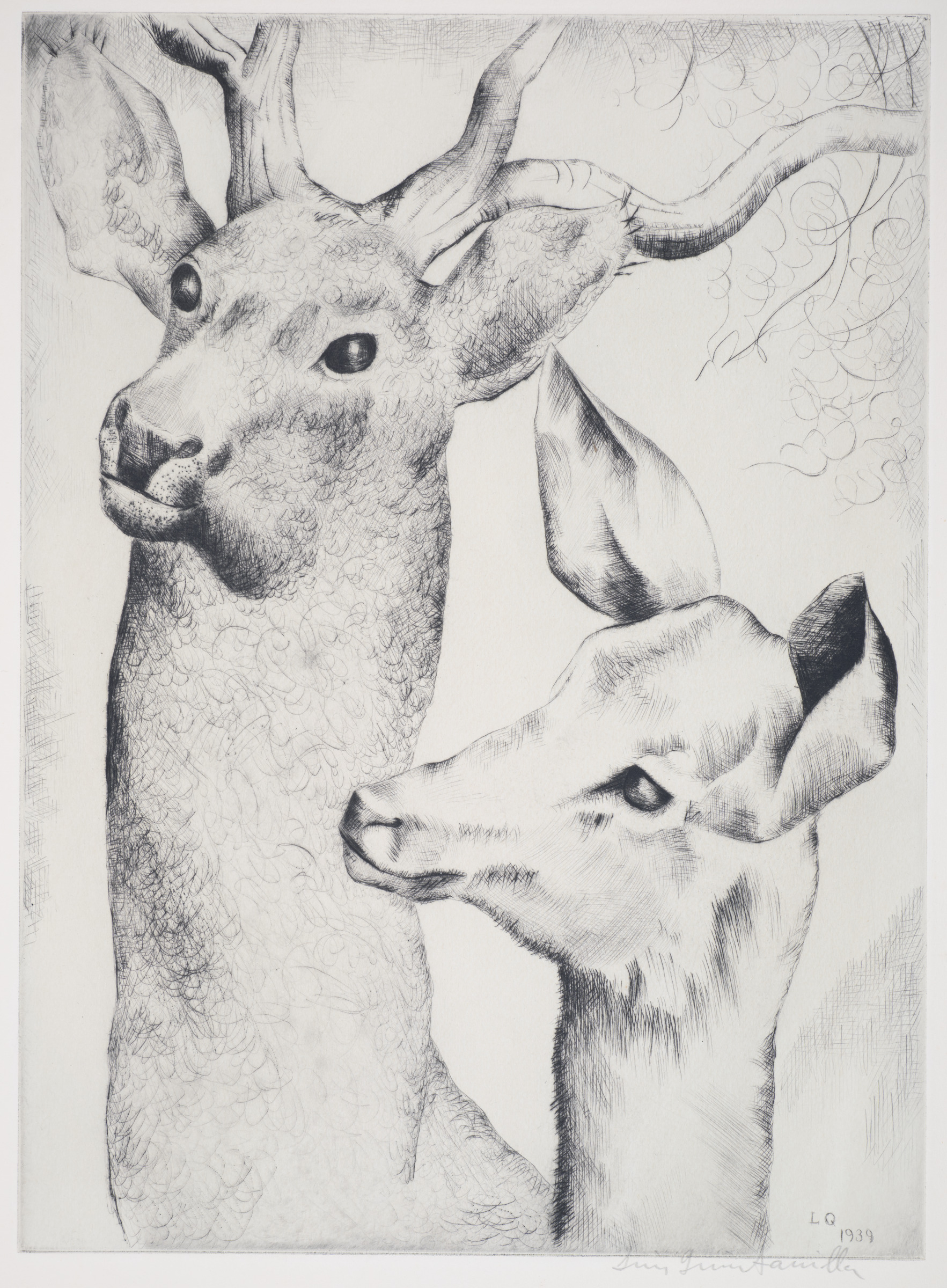 Deer and Fawn