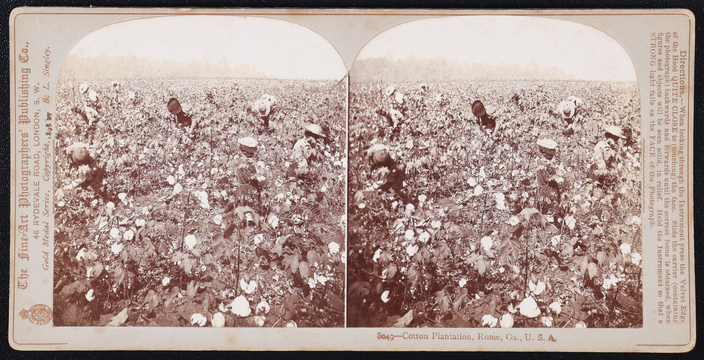 Cotton Plantation, Rome, Ga., U.S.A.