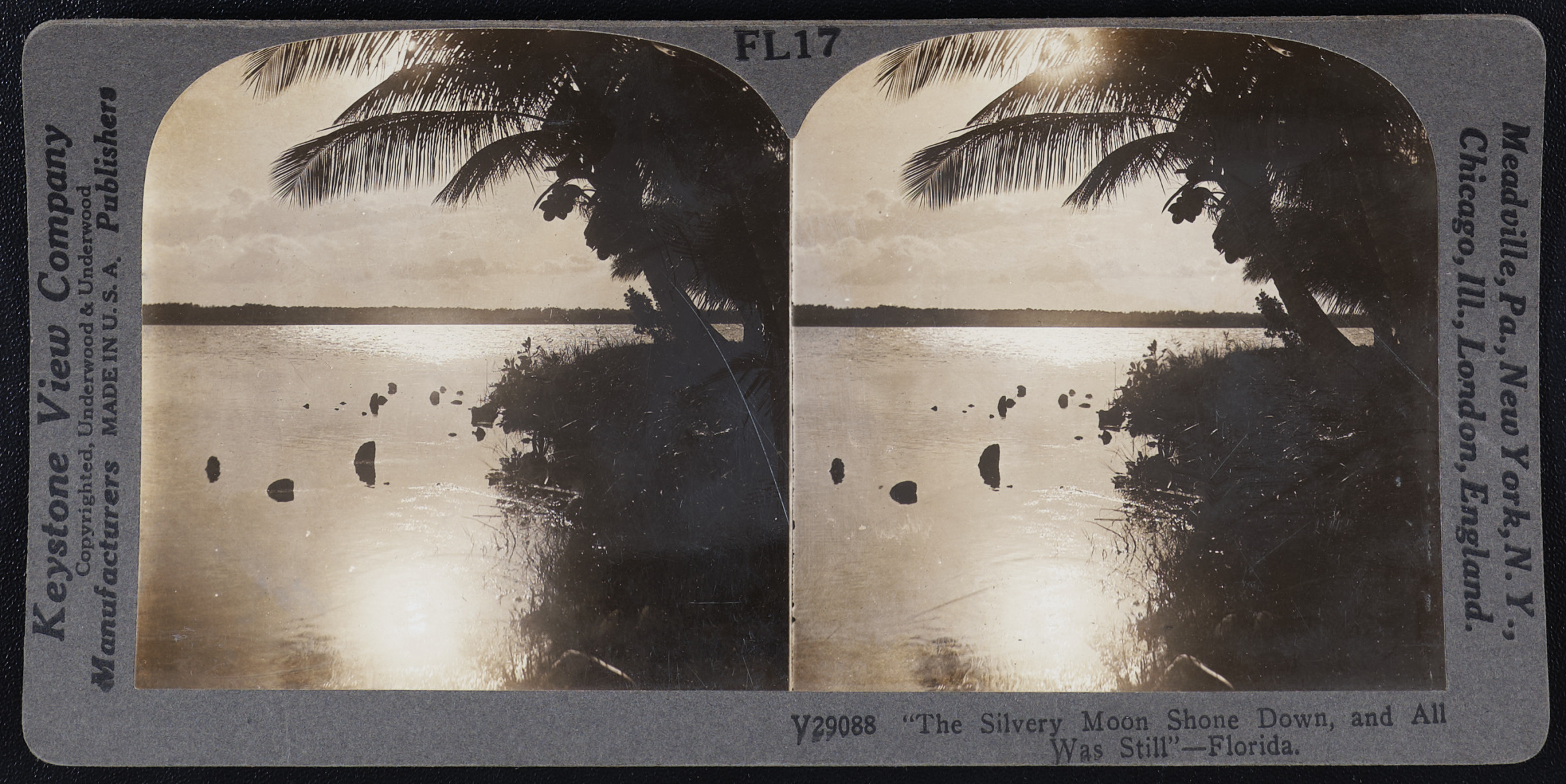 “The Silvery Moon Shone Down, and All Was Still” – Florida