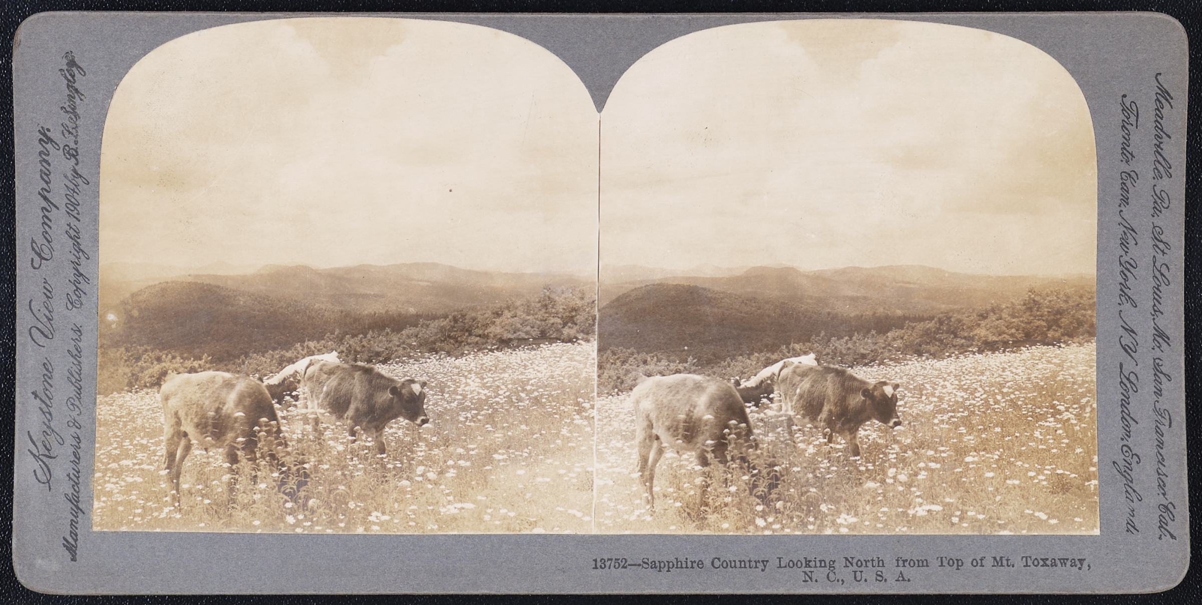 Sapphire Country Looking North from Top of Mt. Toxaway, N.C., U.S.A.