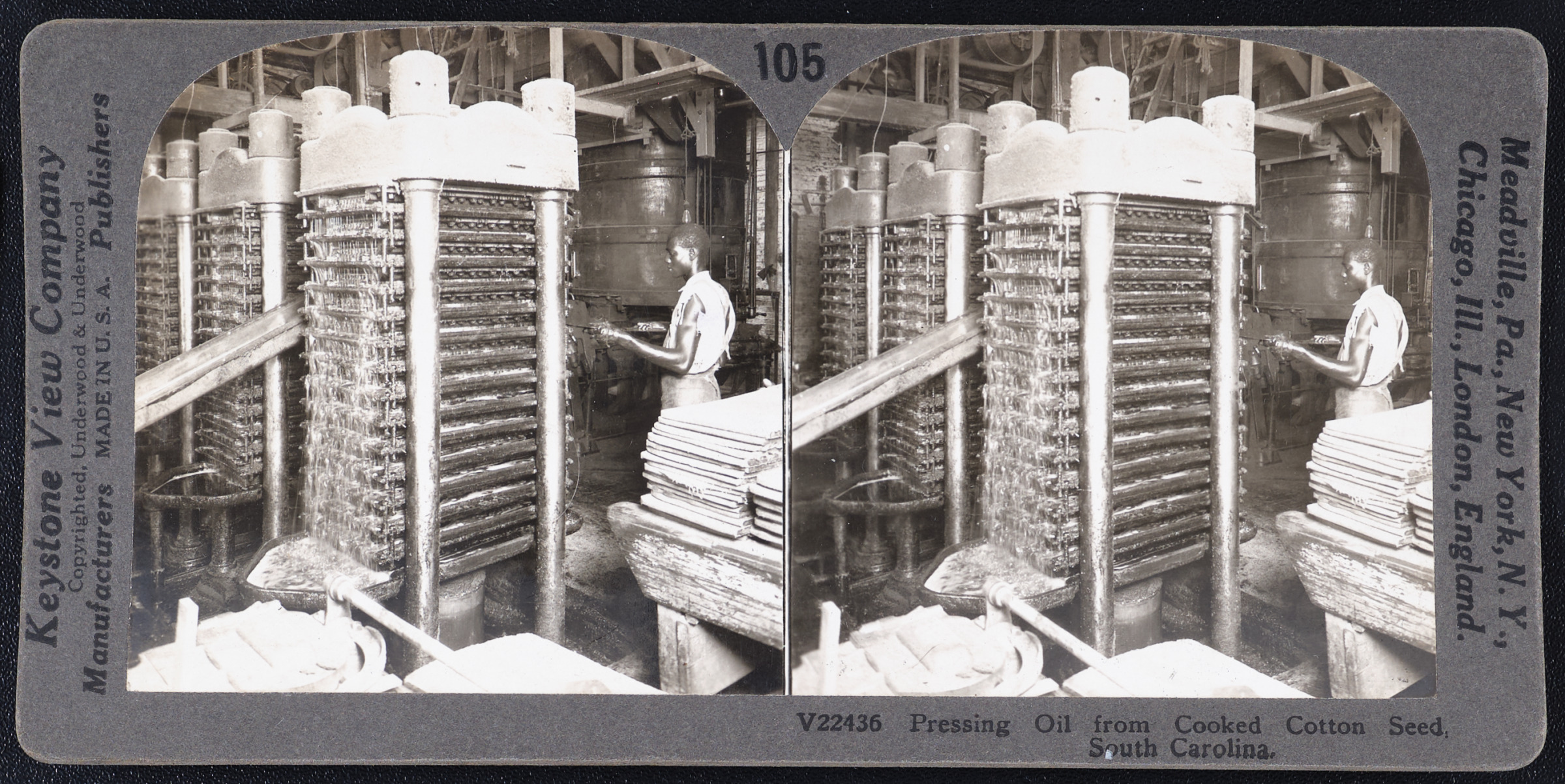 Pressing Oil from Cooked Cotton Seed, South Carolina