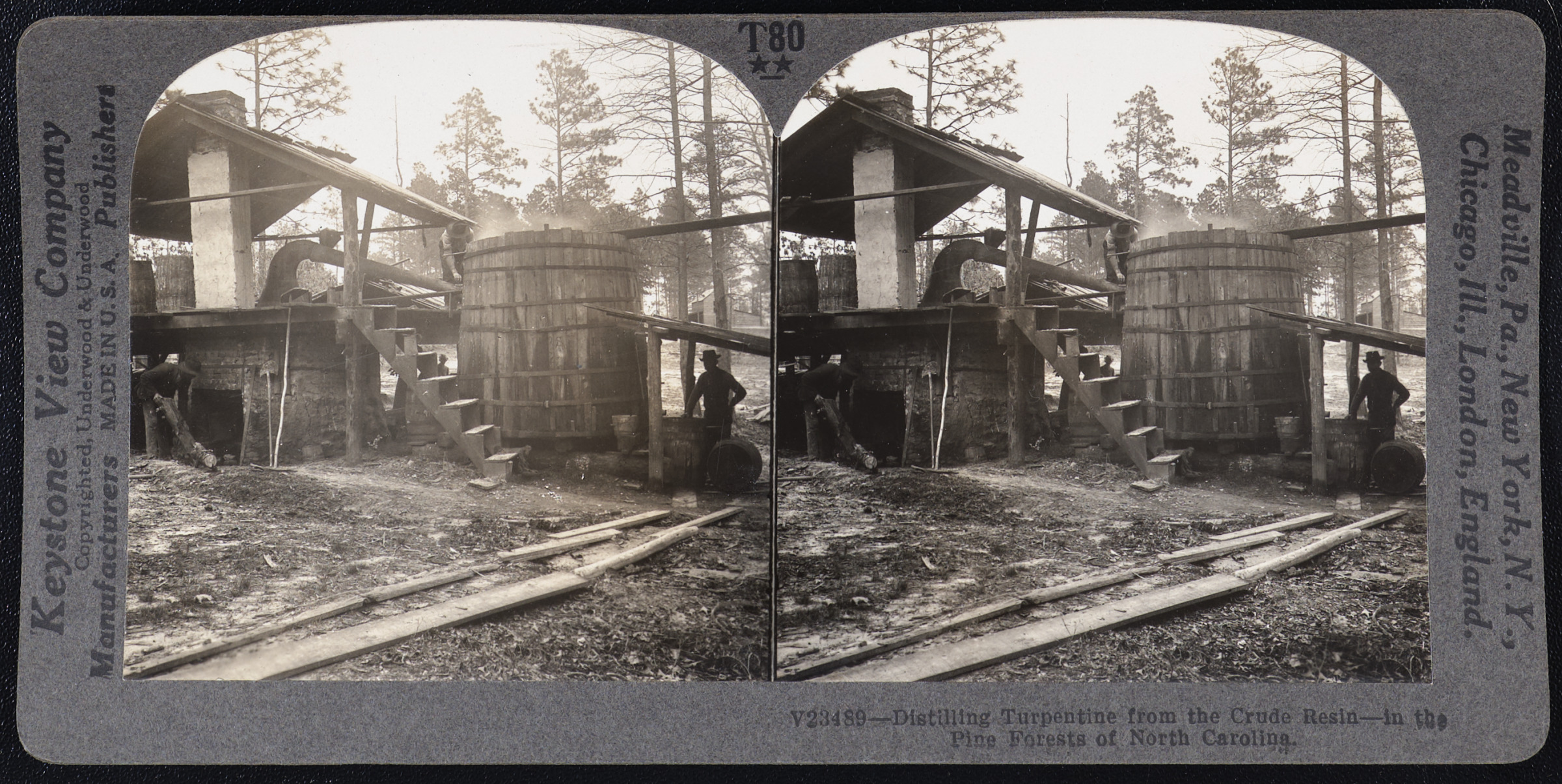 Distilling Turpentine from the Crude Resin – in the Pine Forests of North Carolina